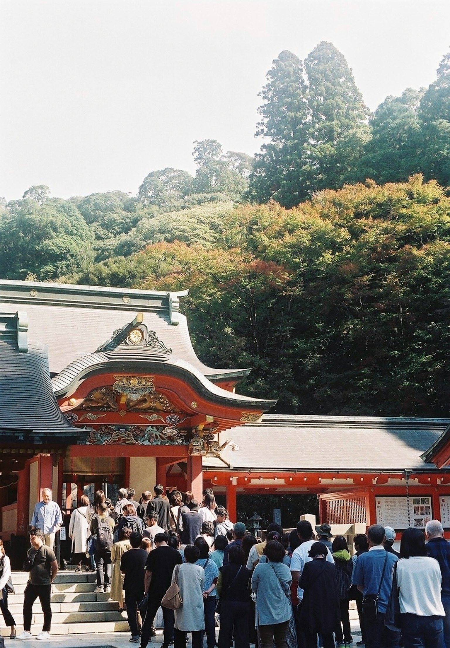 A crowd of people gathered in front of a shrine featuring lush greenery and beautiful architecture
