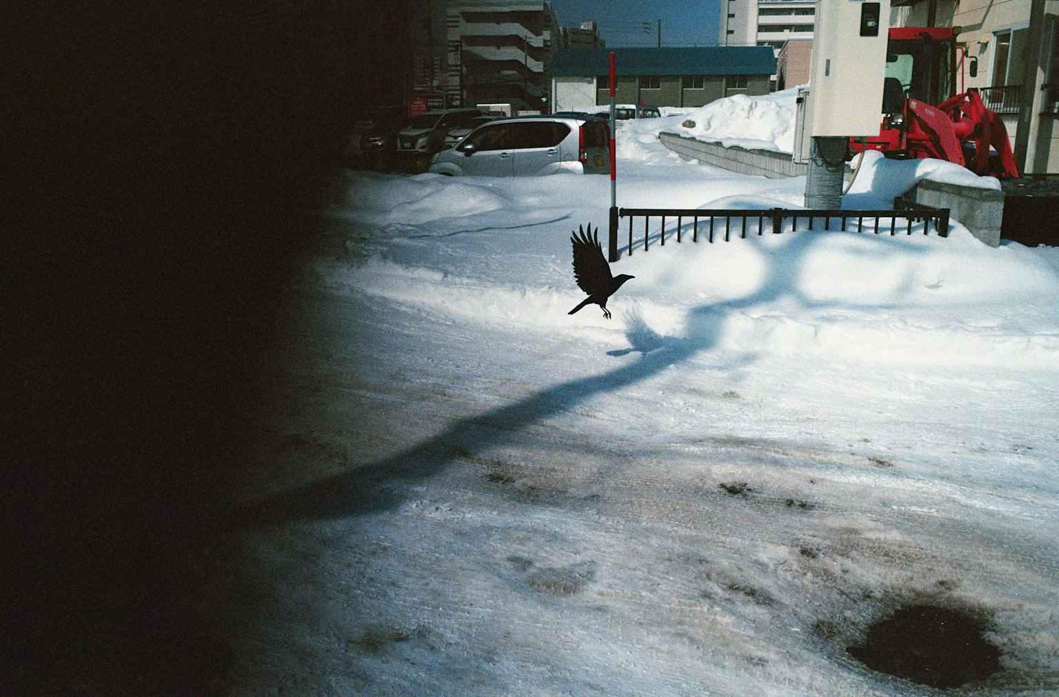 A bird taking flight in a snow-covered parking lot