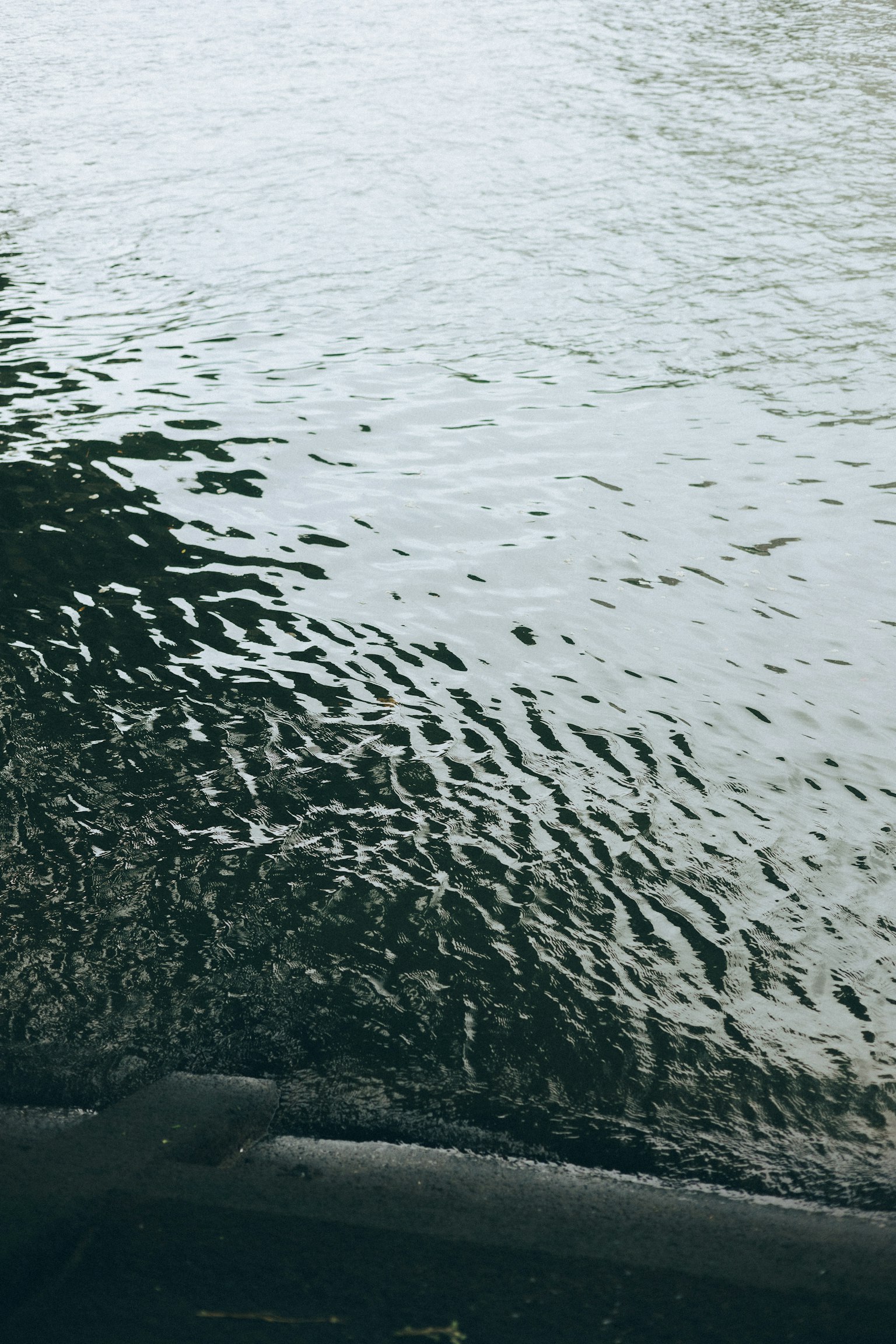 Scena di fiume calma con superficie d'acqua ondulata