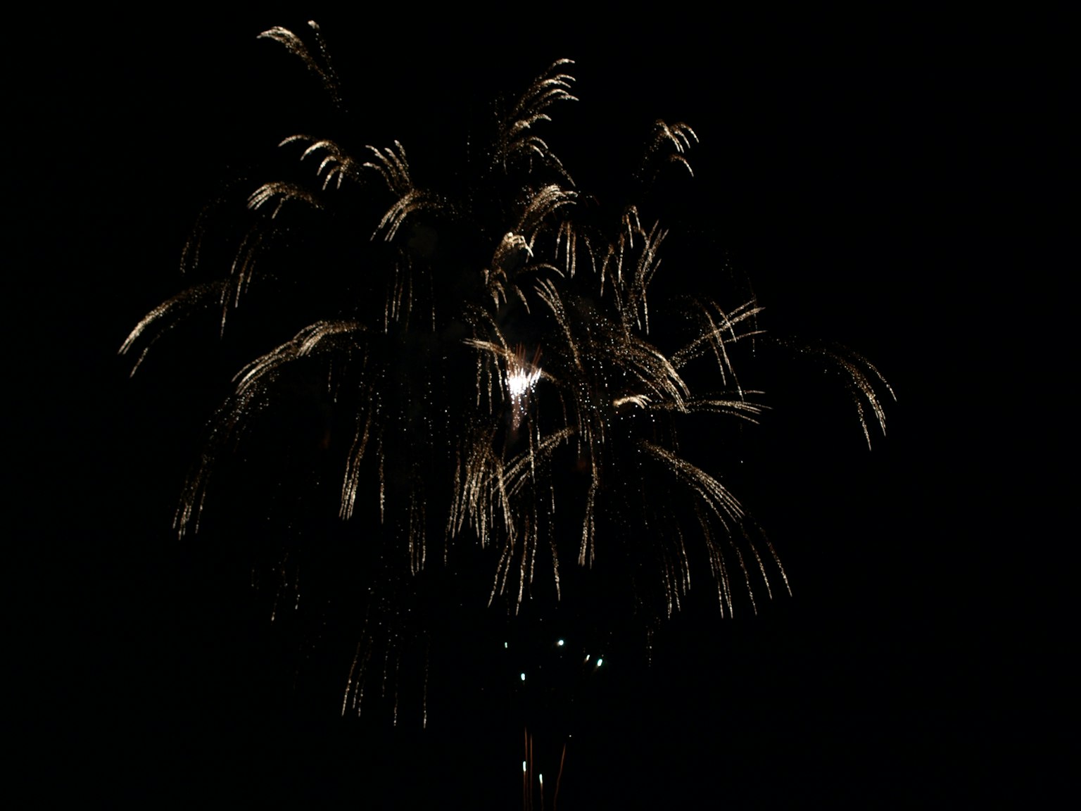 Esplosione di fuochi d'artificio che brillano su uno sfondo scuro