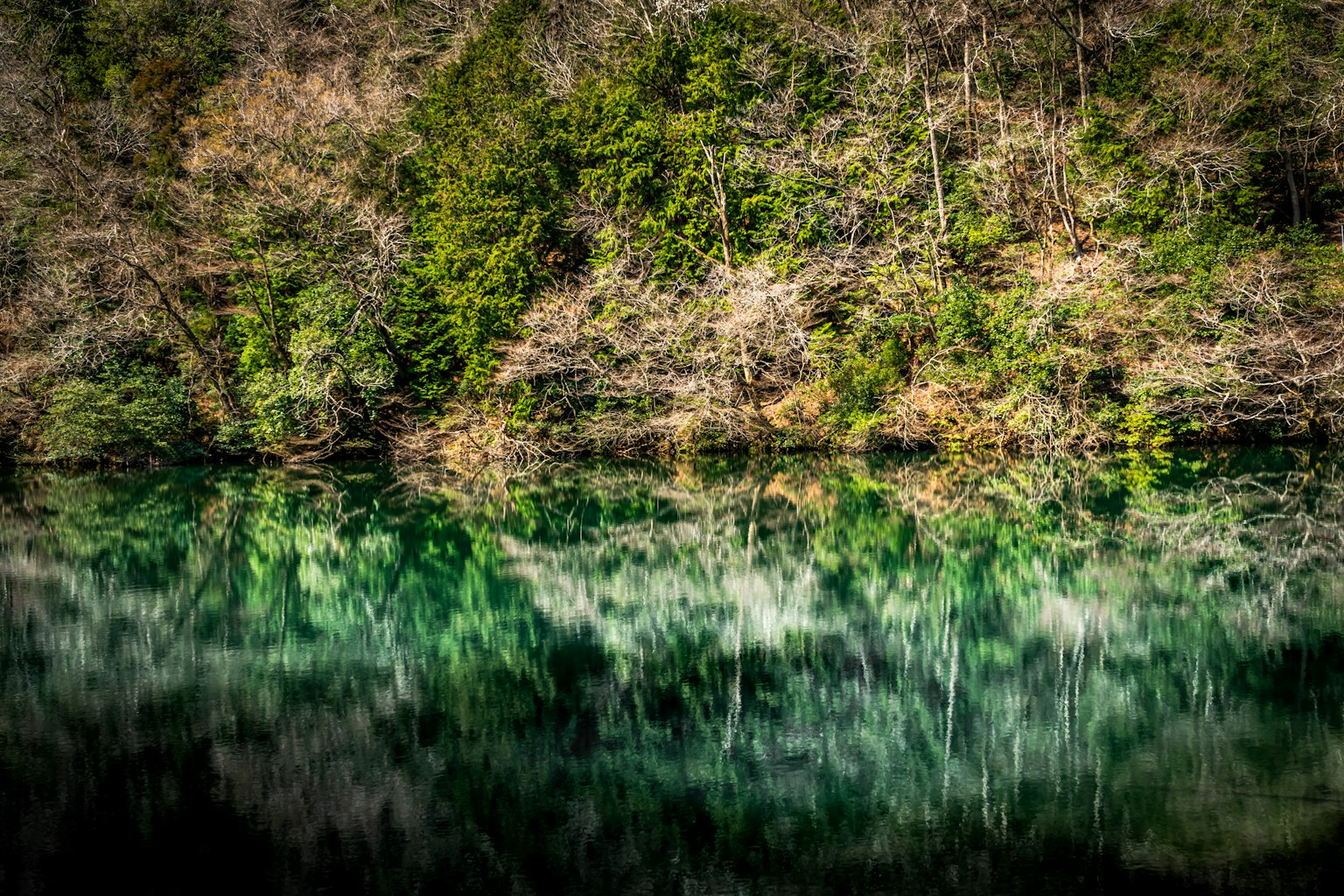 photo-wvFPCe2zVdhegwlEDwo7-image