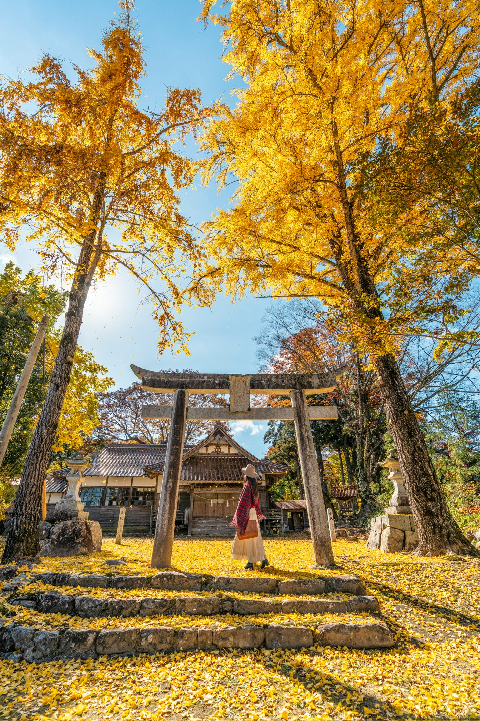 美しい秋の風景に囲まれた鳥居と黄色いイチョウの木の下に立つ女性