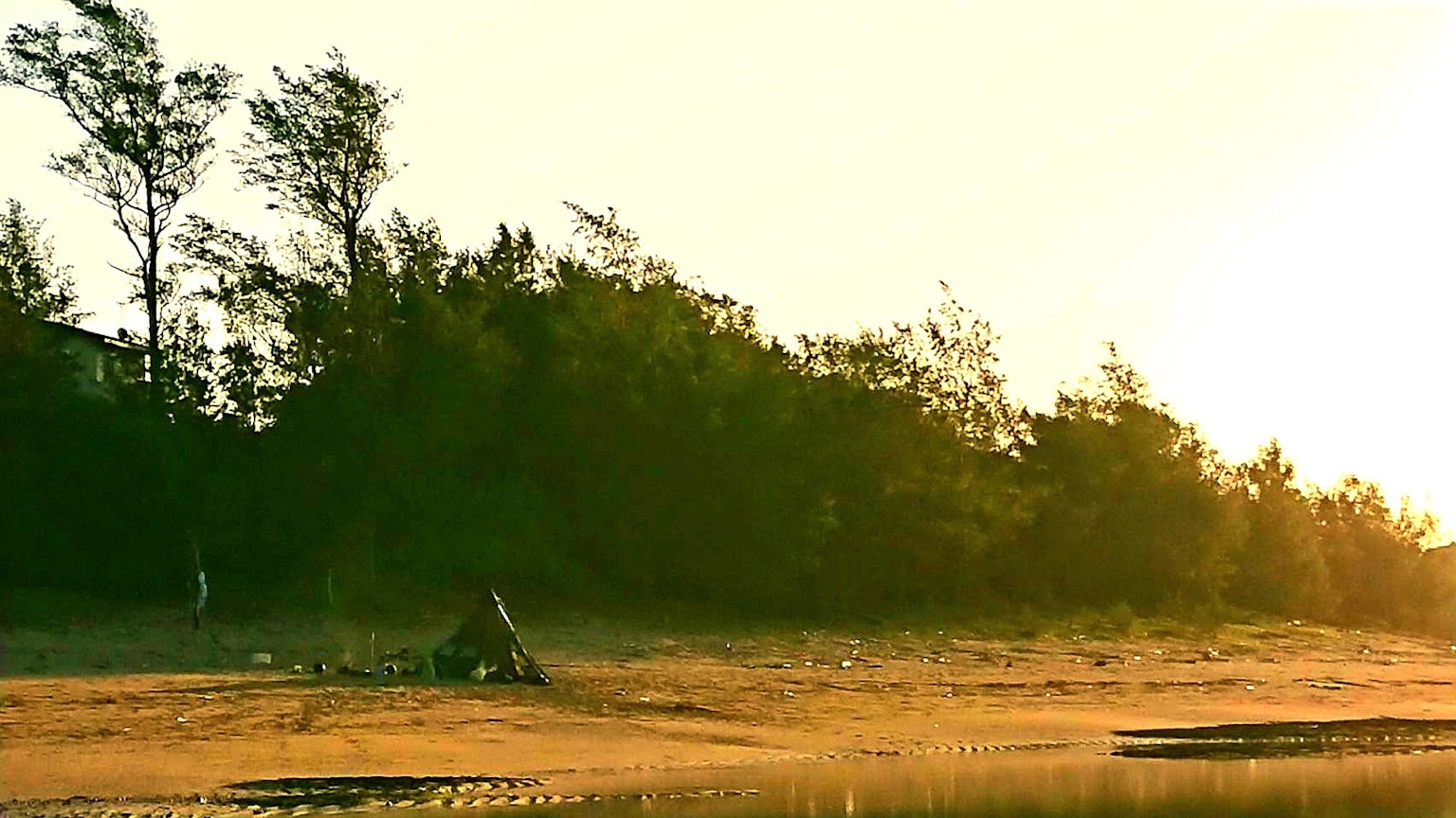 Ruhige Strandszene mit Sonnenuntergangslicht und Bäumen