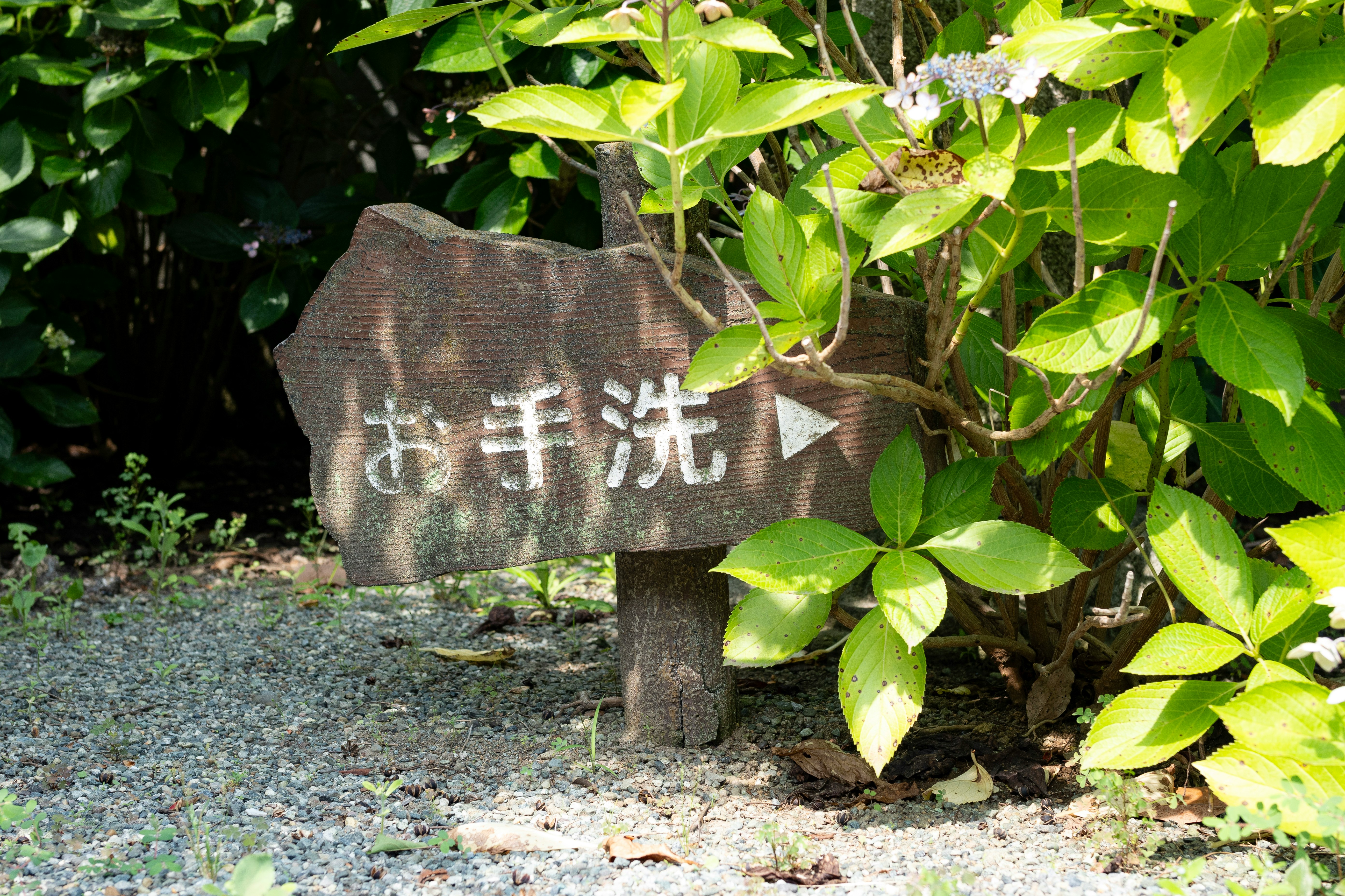 绿植环绕的石质“厕所”指示牌