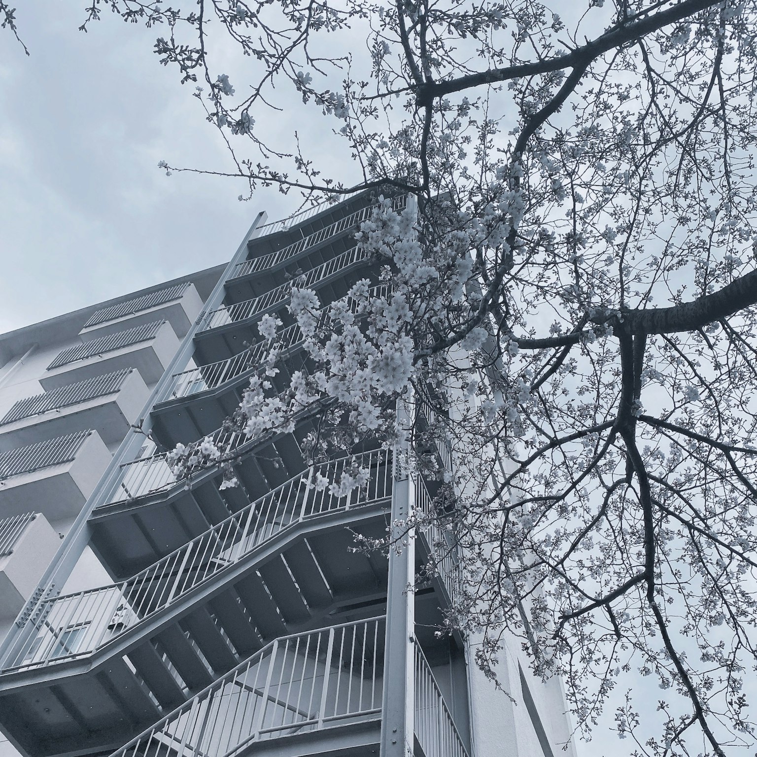 Blick auf ein Gebäude mit einer Wendeltreppe und einem blühenden Baum in sanften Farben