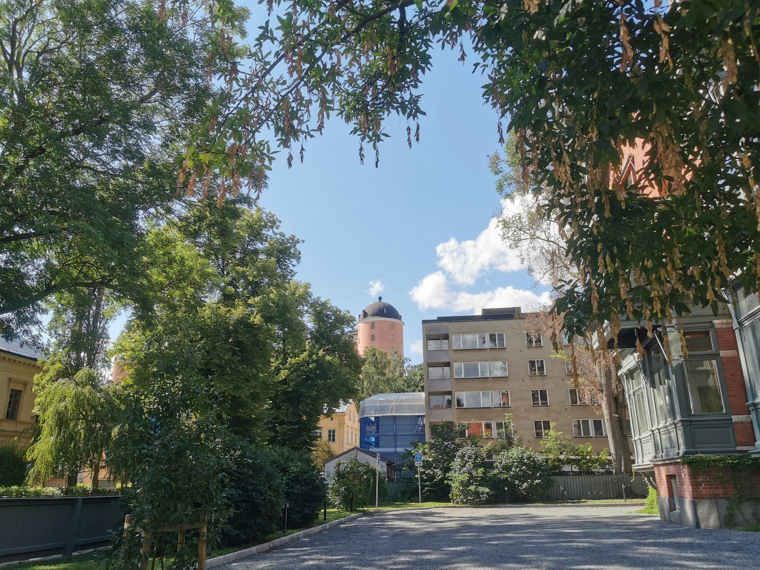 Scena di una strada residenziale sotto un cielo blu Alti alberi e edifici fiancheggiano la strada con una torre circolare in lontananza