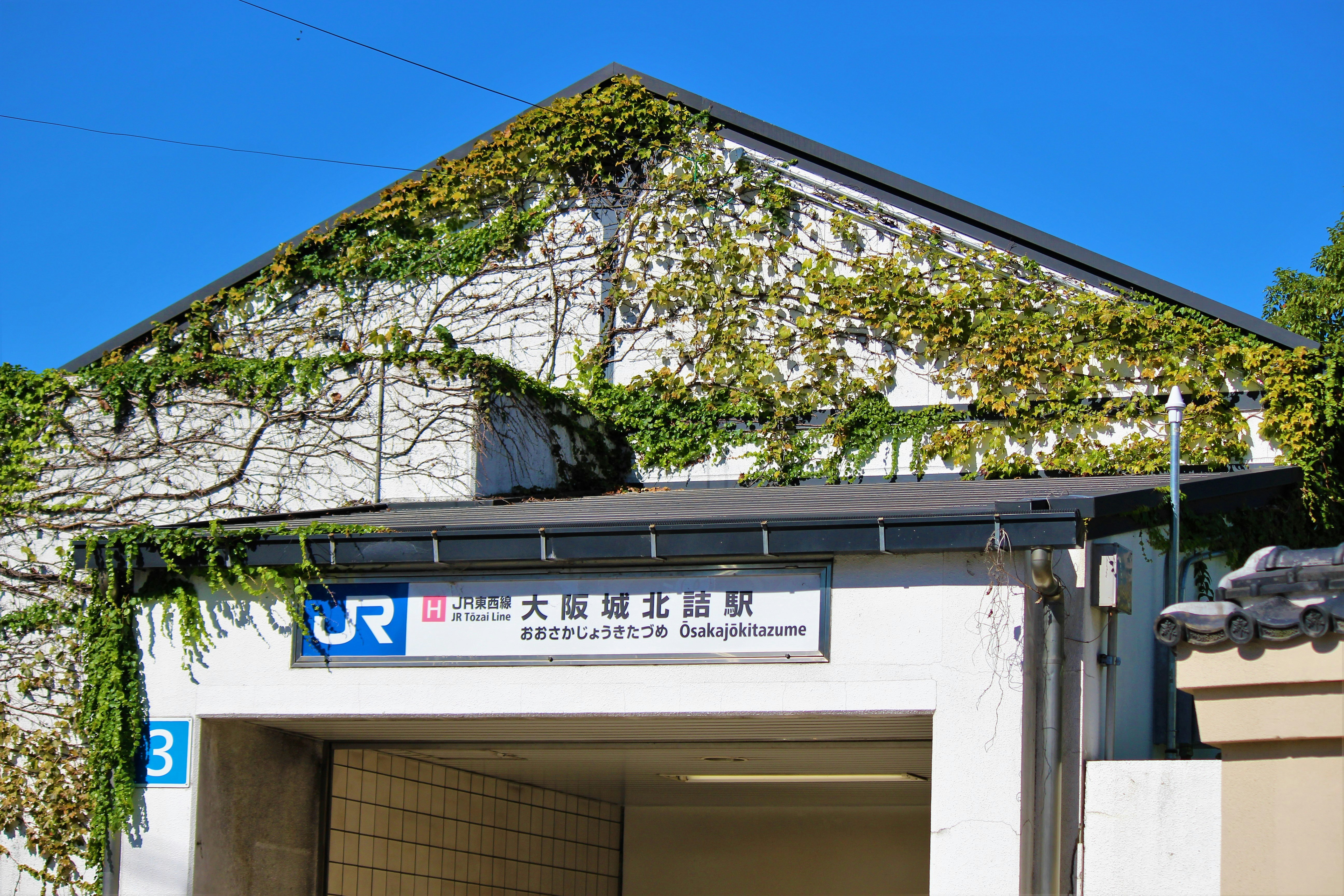 蔦に覆われた駅の入口の看板とホームの屋根