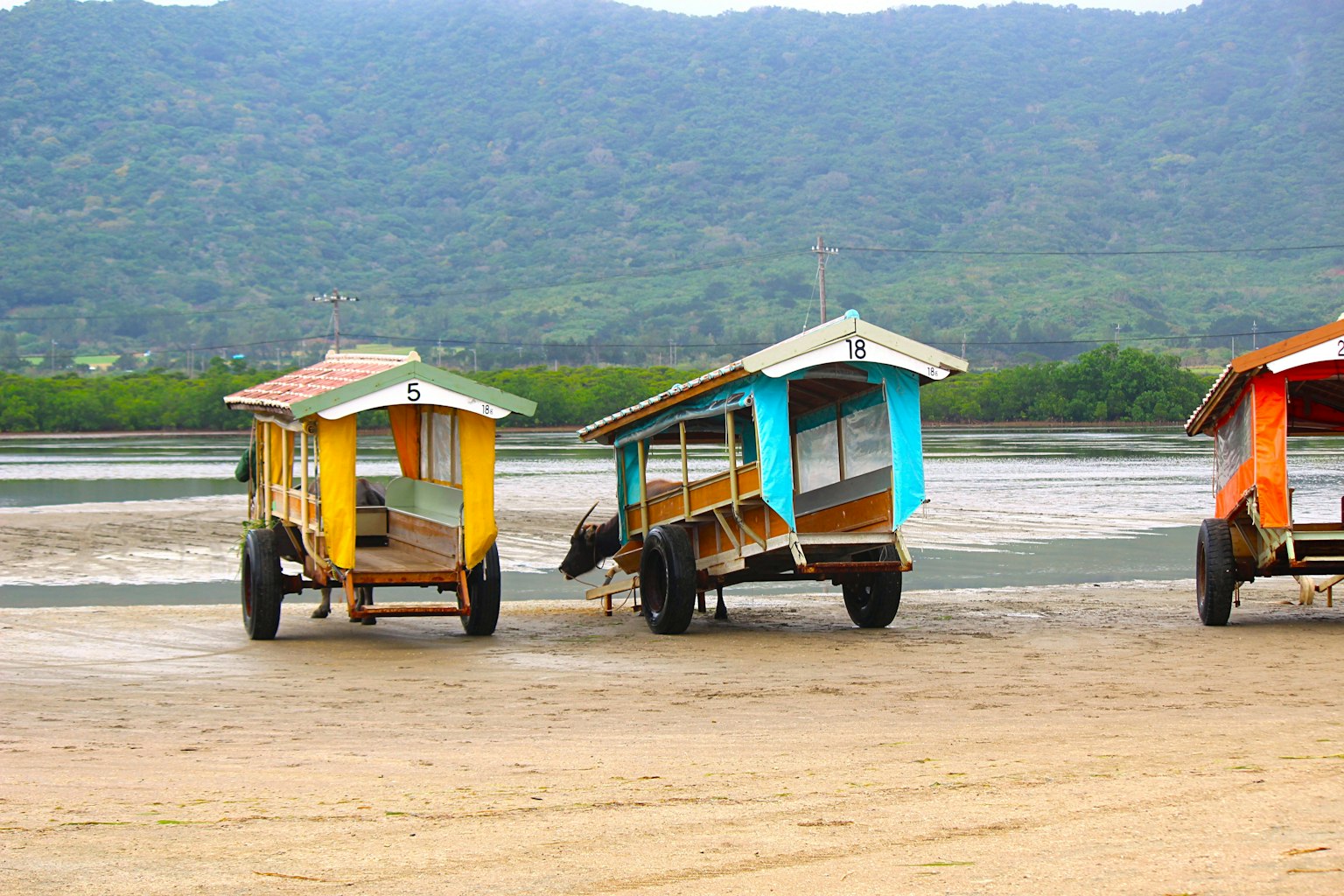 Colorful huts mounted on trucks lined up on a sandy beach