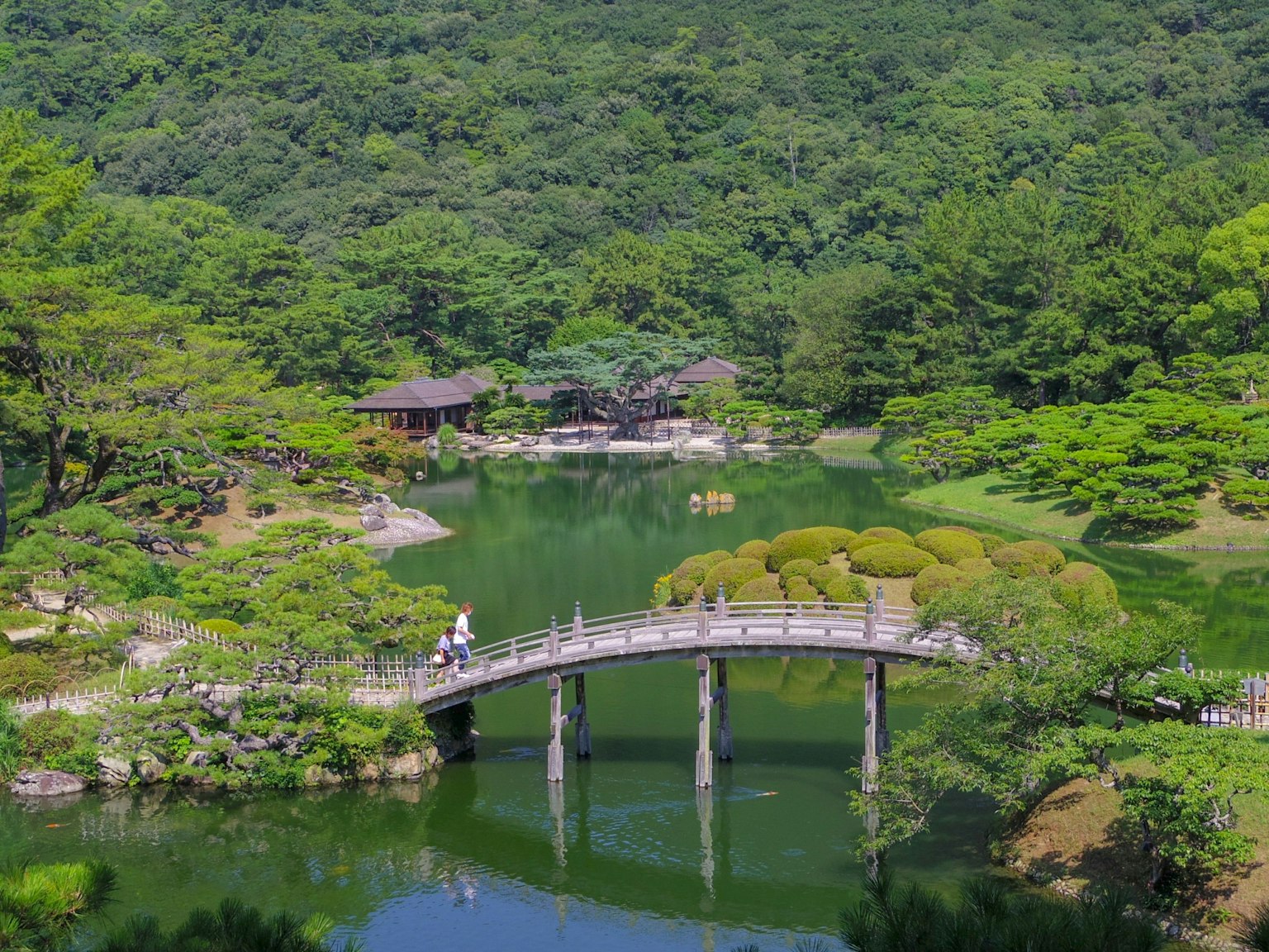 Beautiful Japanese garden landscape lush green trees and tranquil pond with a person crossing a bridge