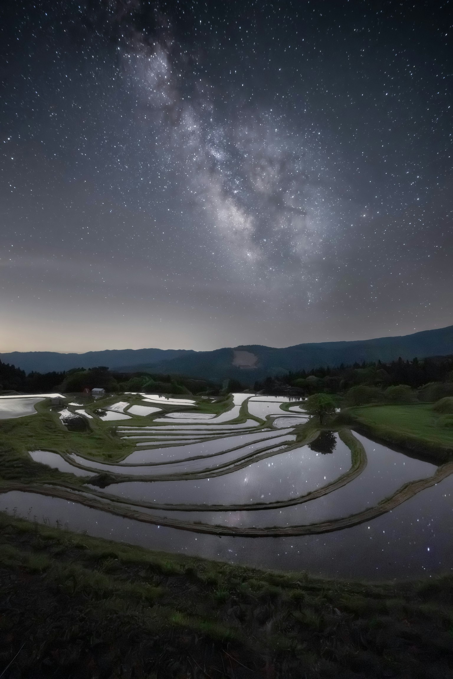 Pemandangan indah sawah terasering di bawah langit berbintang dengan Bima Sakti