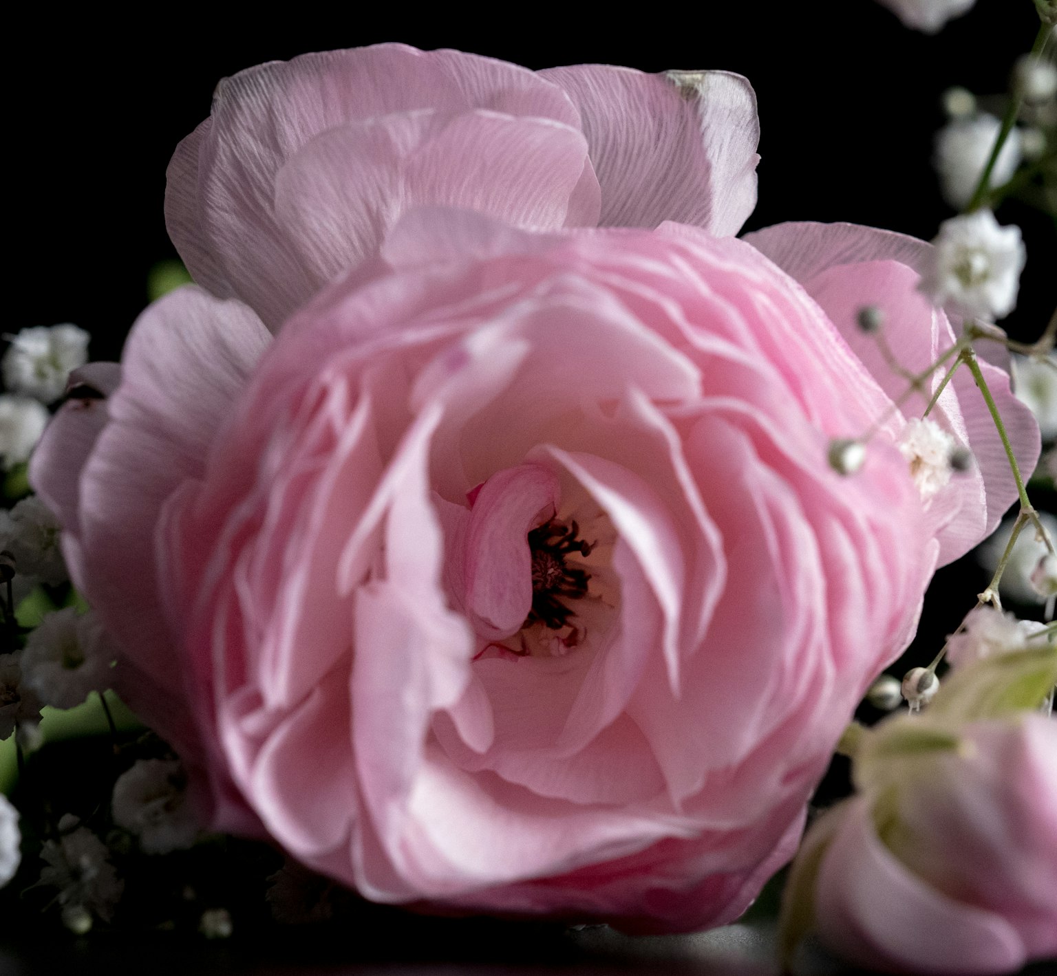 photo-wxb02KAiNeuZl0c8HK3f-image