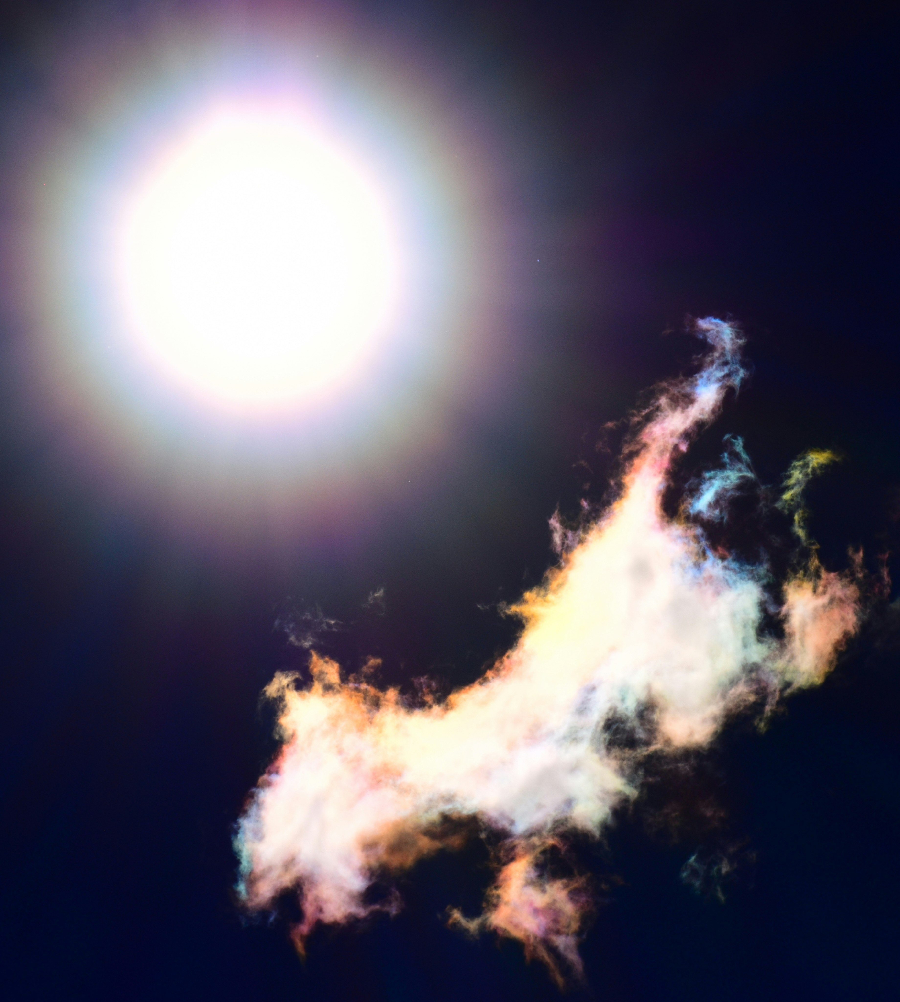 太陽光暈與飄浮的花粉粒子
