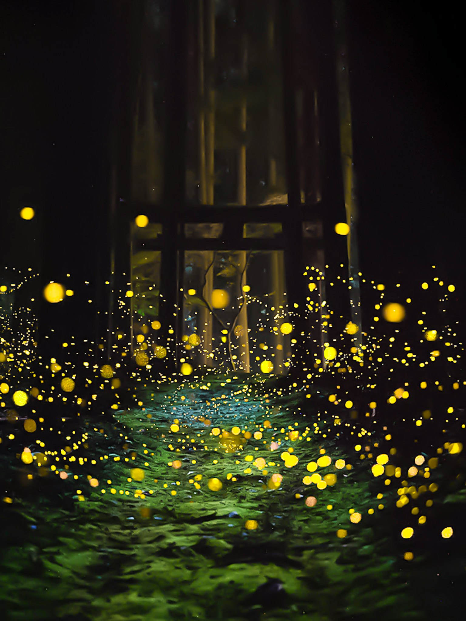 photo-wxzYntvjmZI11pfcUdjg-image