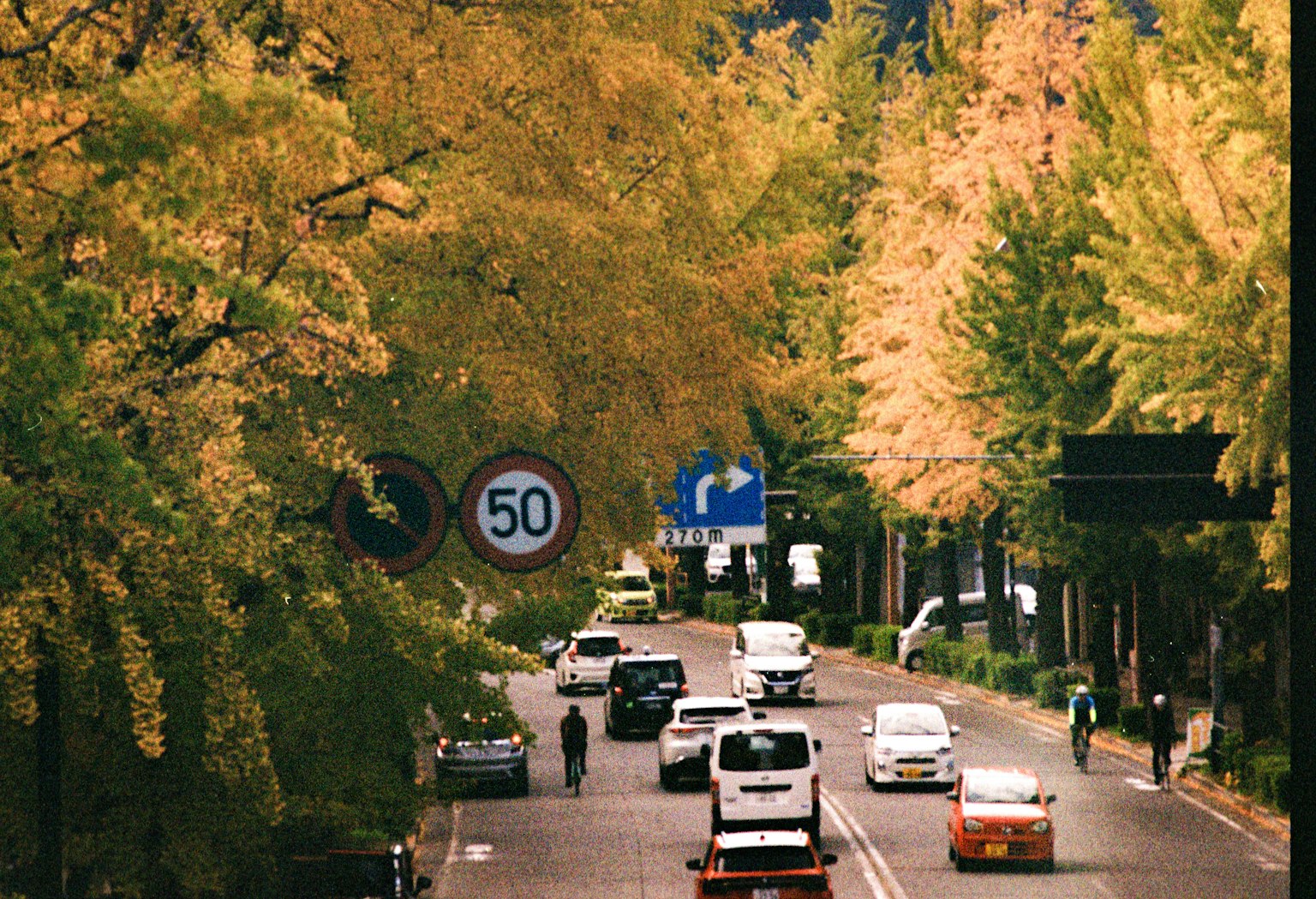 秋の街路に沿った黄色い木々と車両が行き交う風景