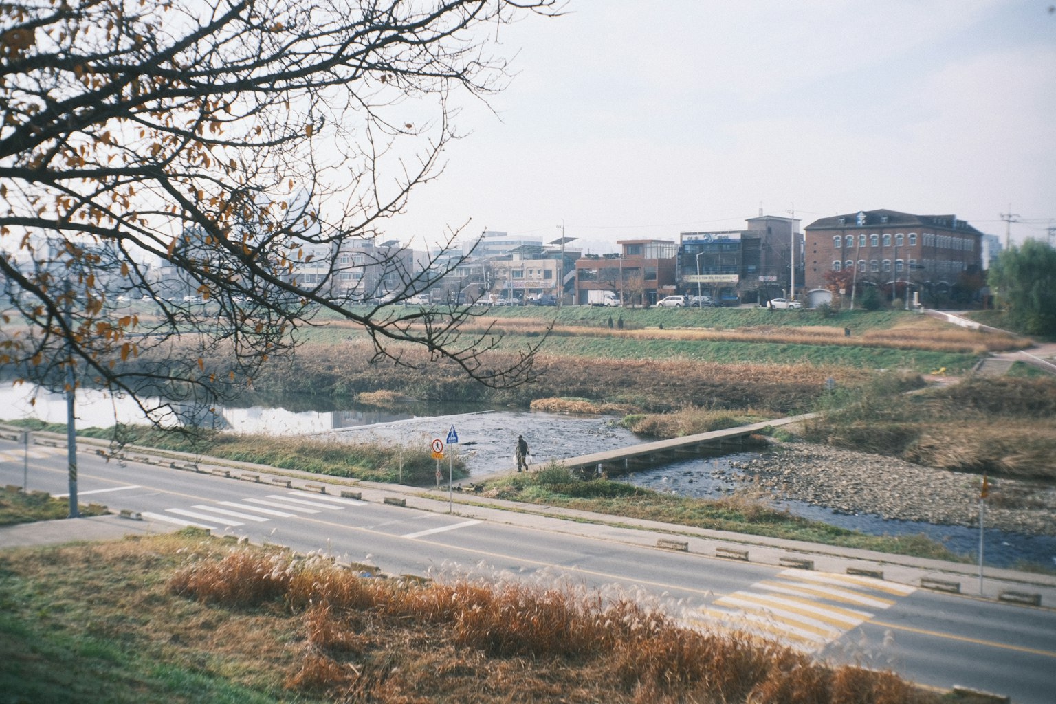 一幅寧靜的風景，河流和草地沿著道路延伸