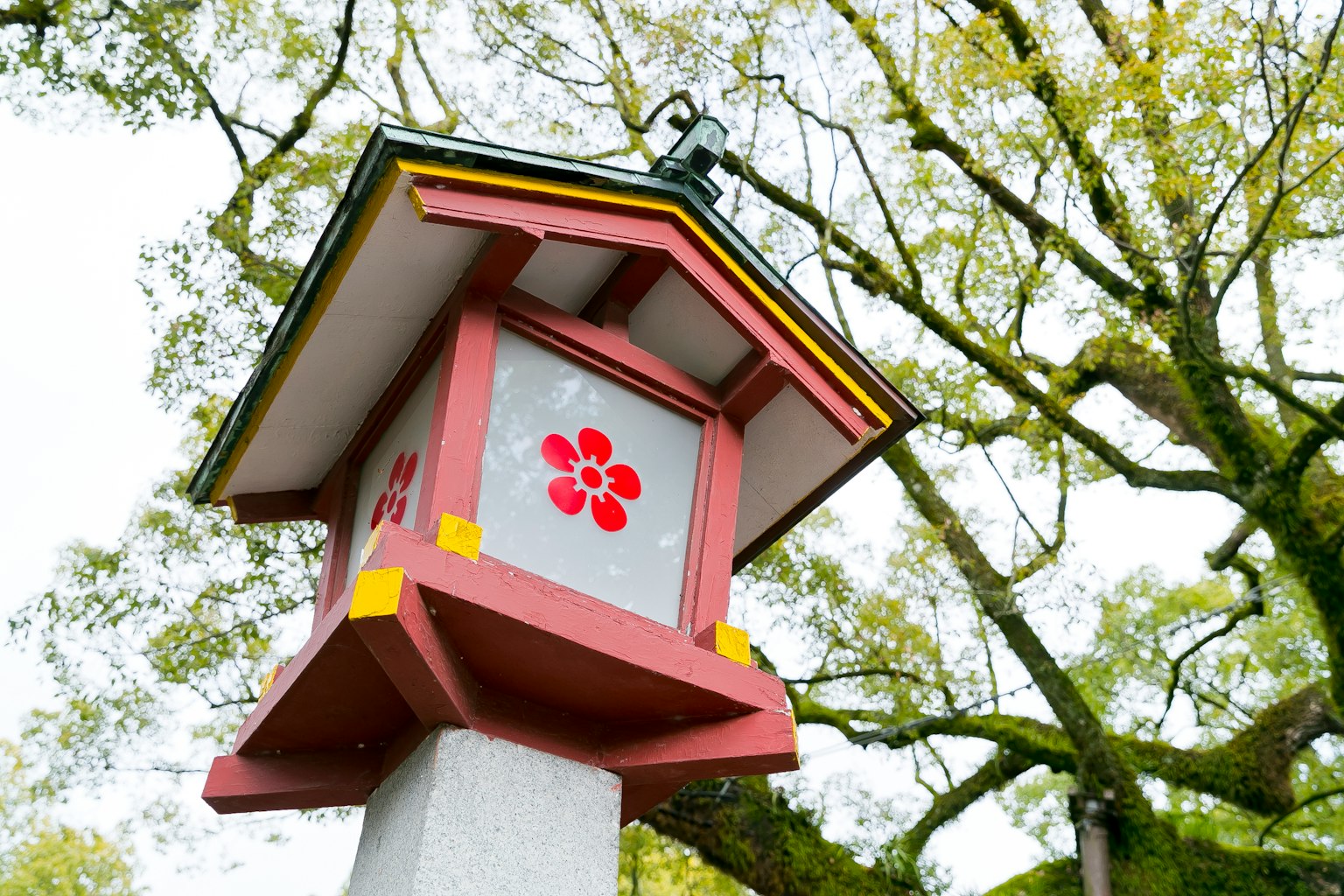 lámpara japonesa con diseño de flor roja y árboles verdes