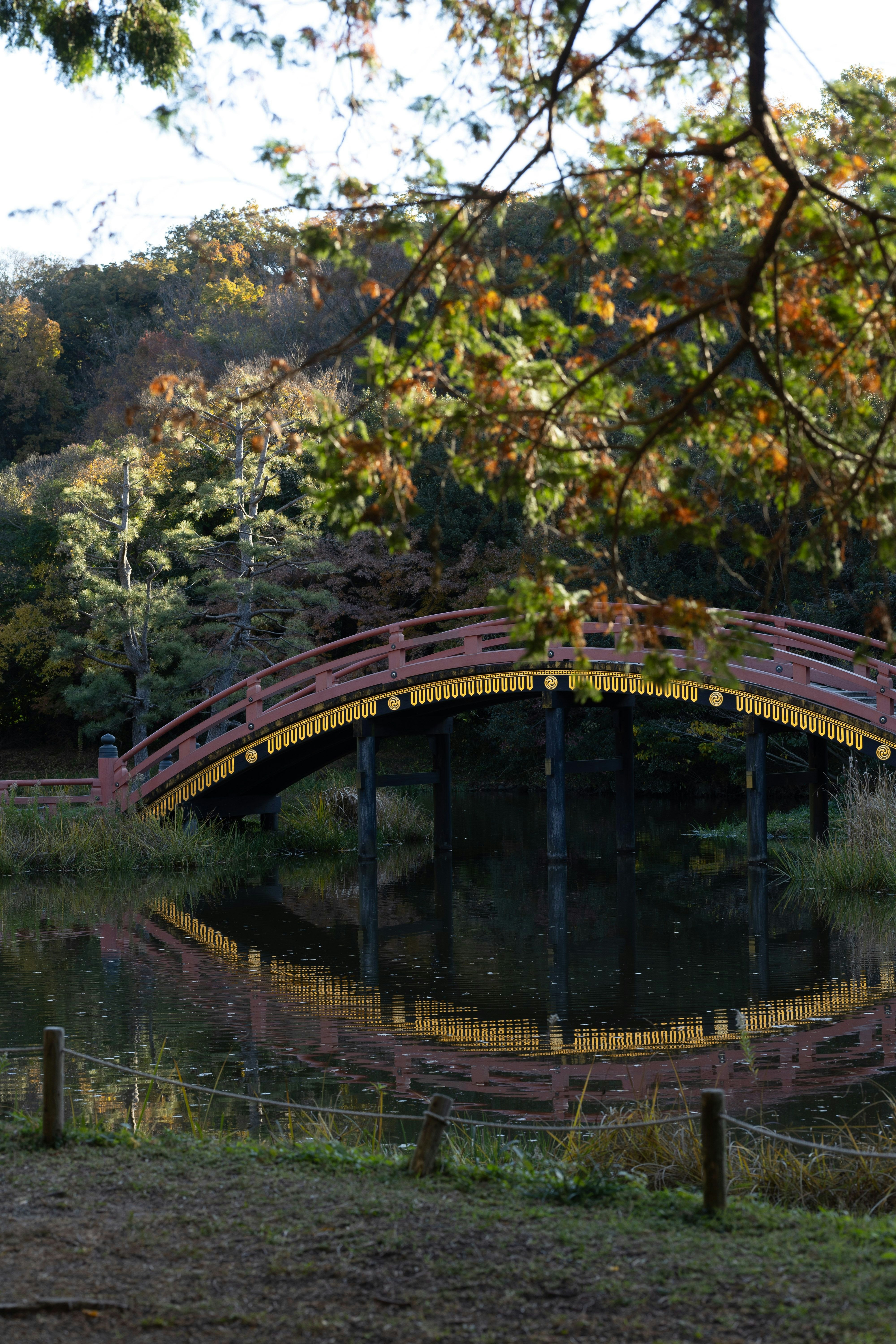 紅色拱橋橫跨池塘與秋季樹木