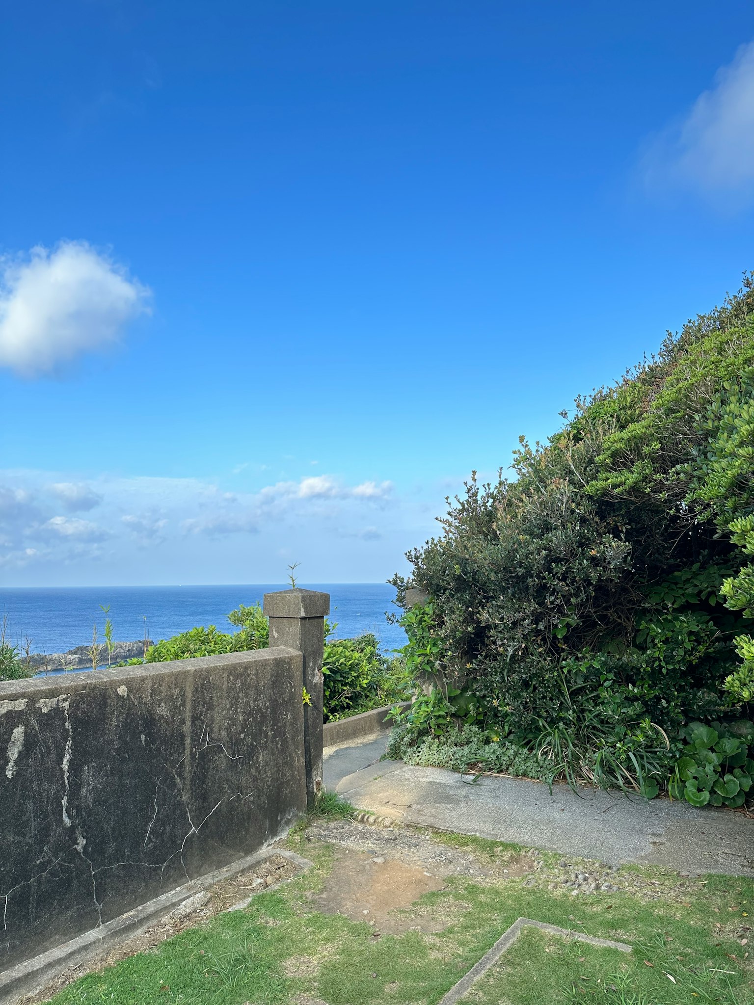 Scenic view of blue sky and ocean with lush greenery