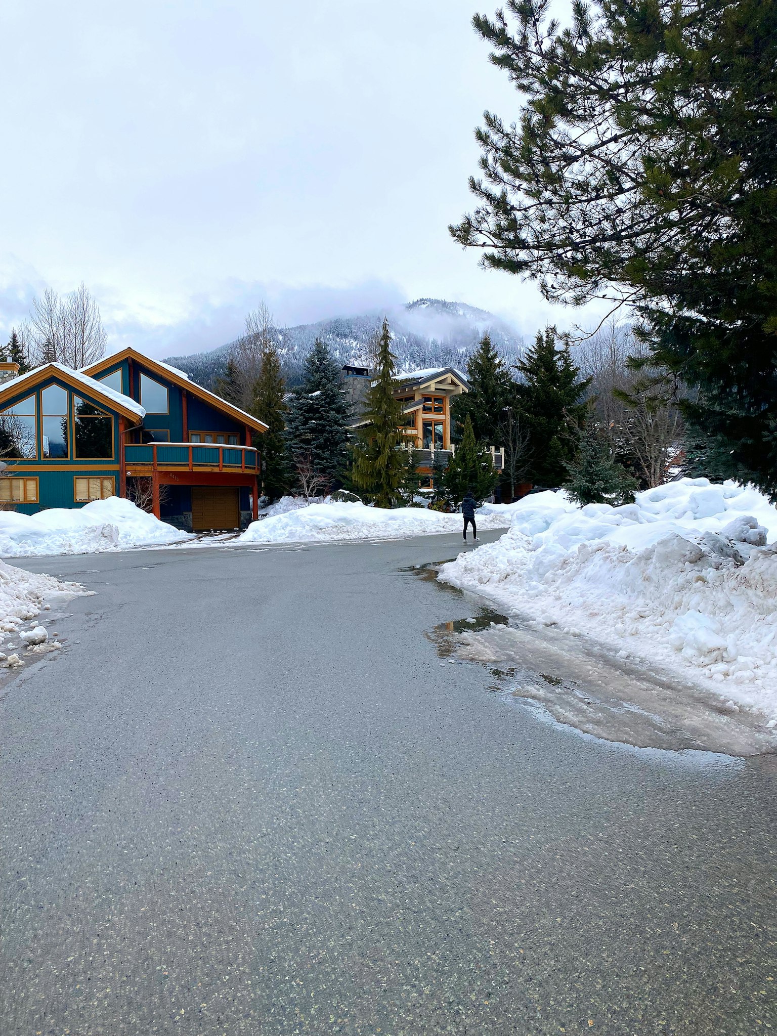 Escena invernal de una calle residencial con nieve y montañas al fondo