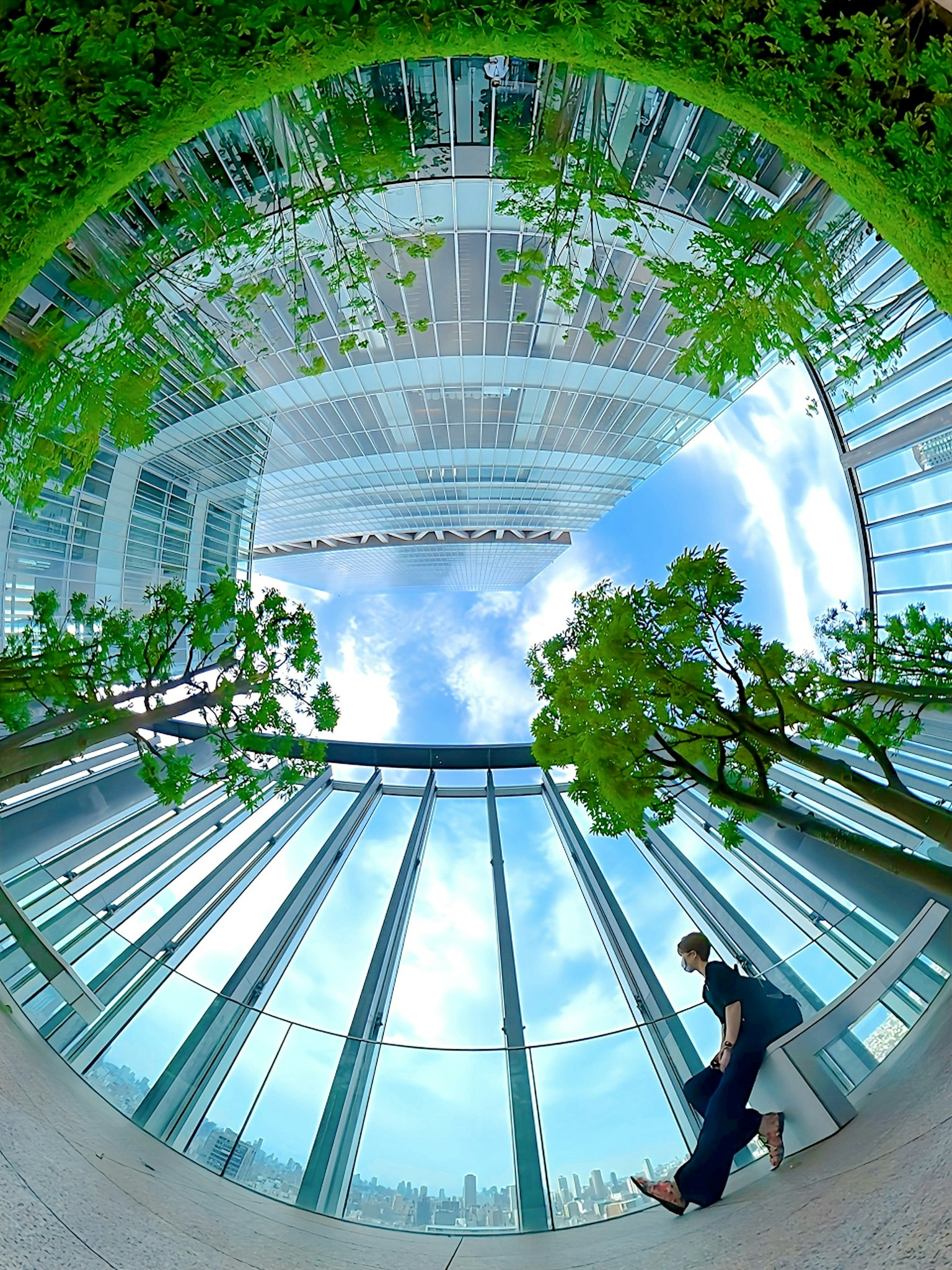 Person walking inside a modern building with glass walls reflecting trees and blue sky