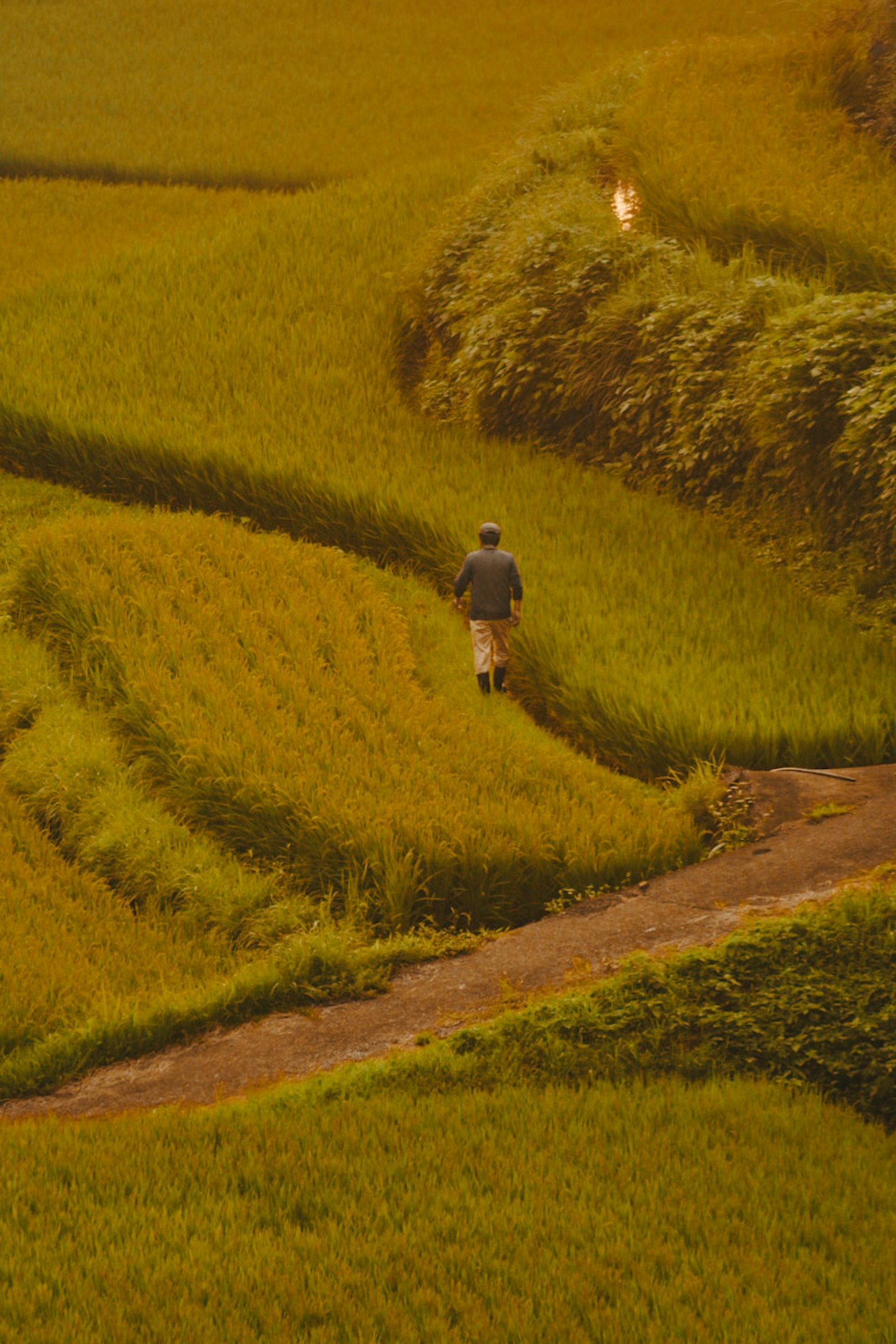 photo-x0yqFaxf21AoOdey4bDx-image