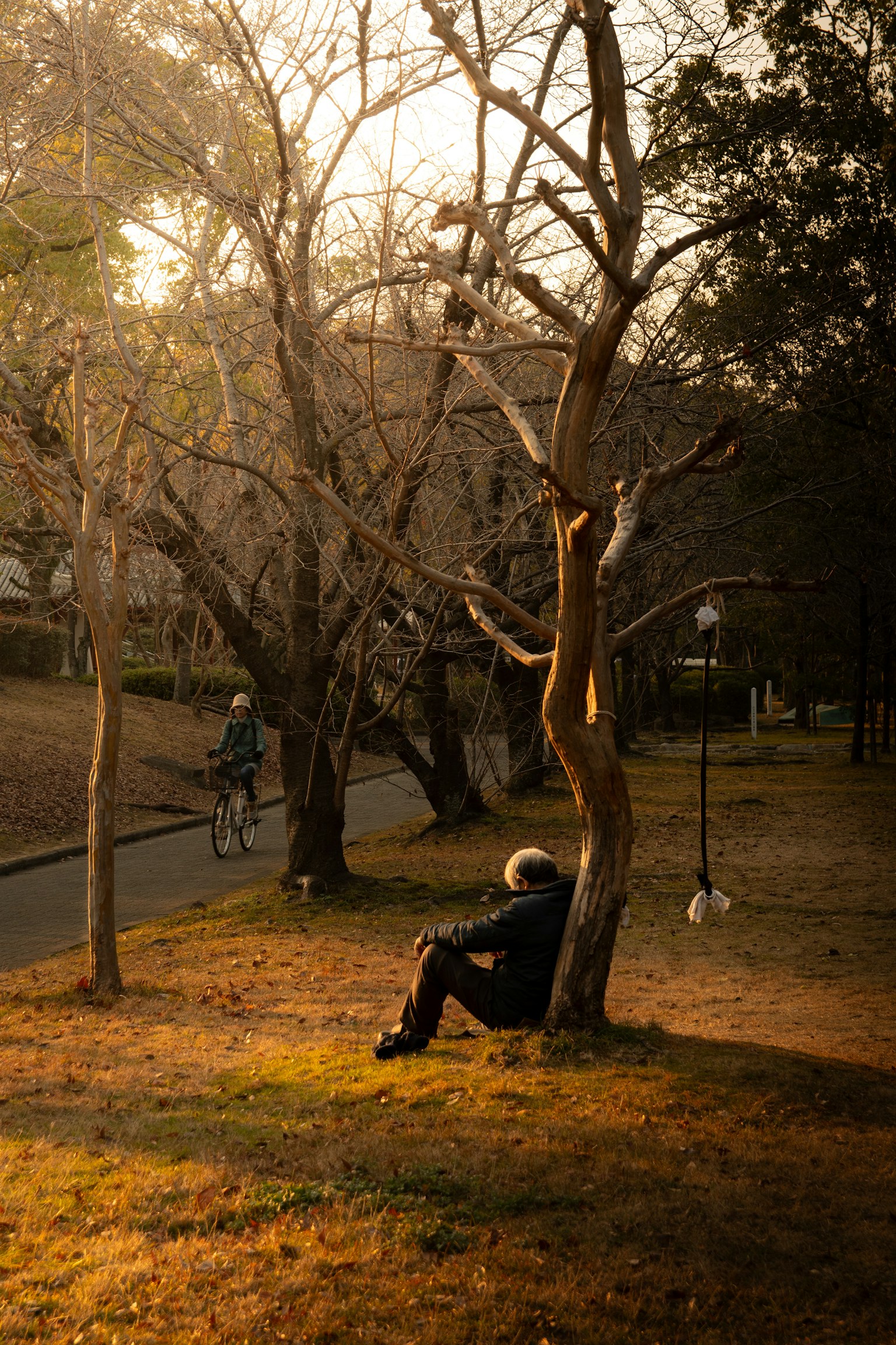 photo-x2Es08mgQfY4cBgXbuIS-image