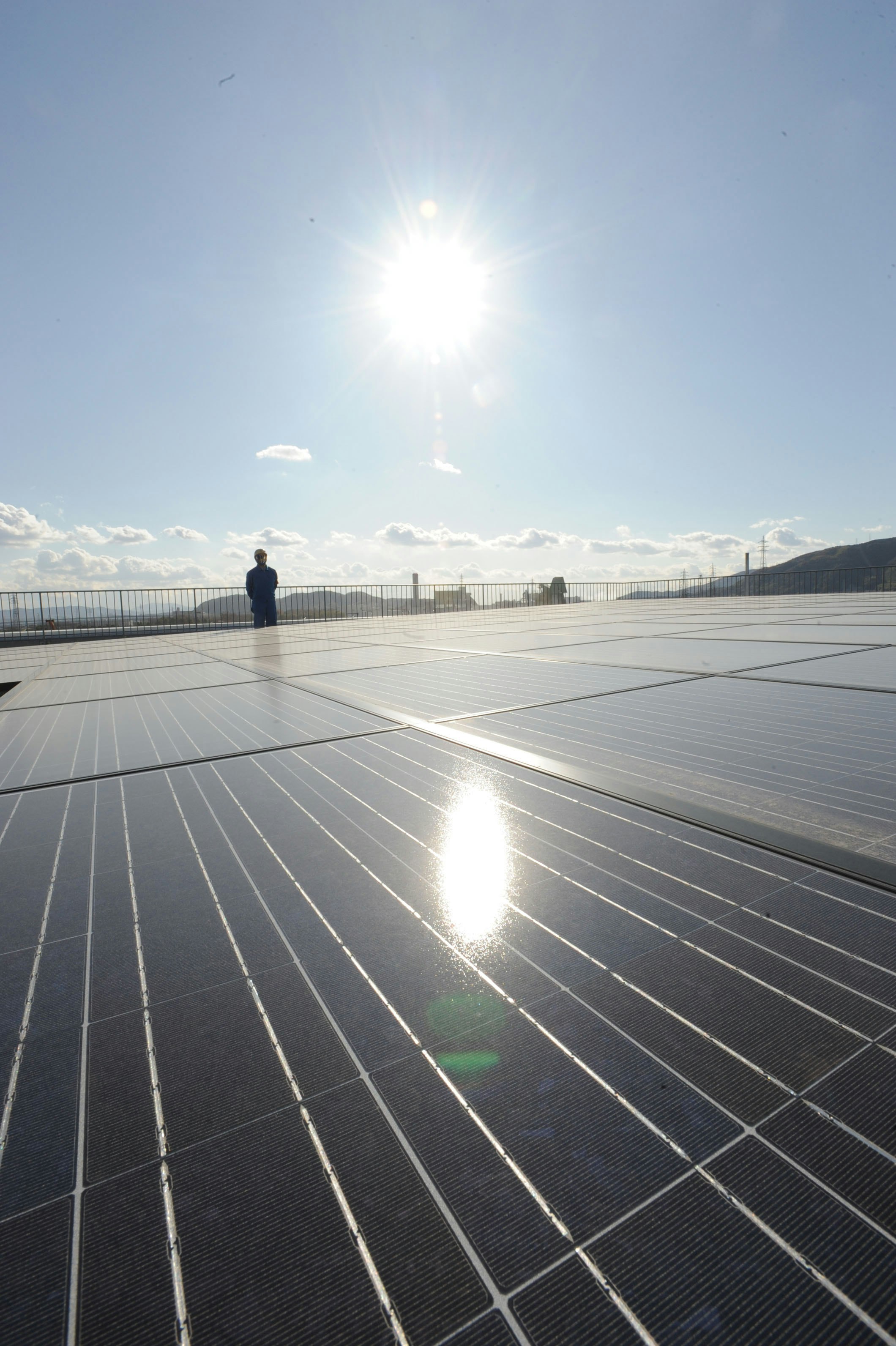 wide outdoor solar panel field with a person walking