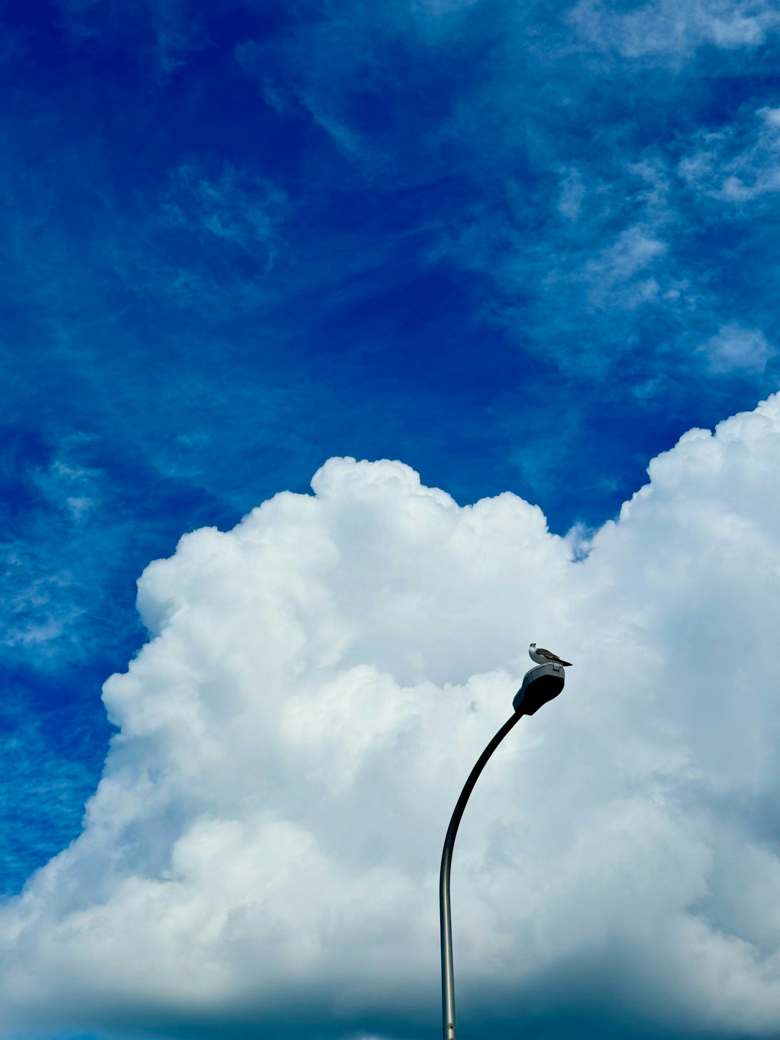 Streetlight under a blue sky with white clouds