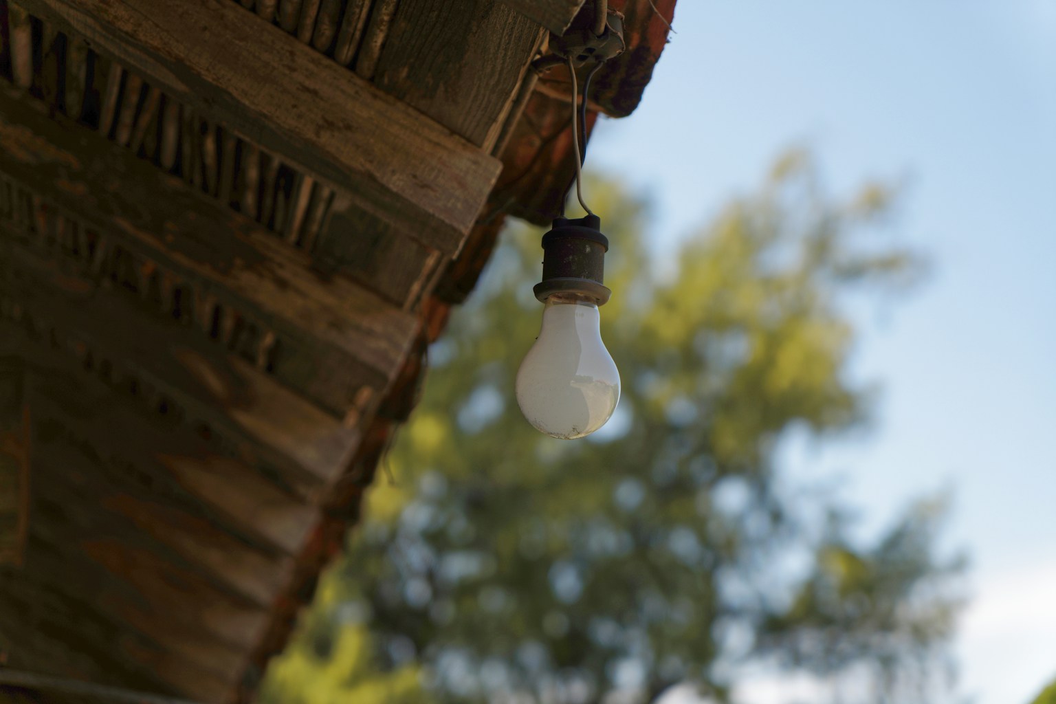 photo-x2Xs36m7dIqiV0eA5nVp-image