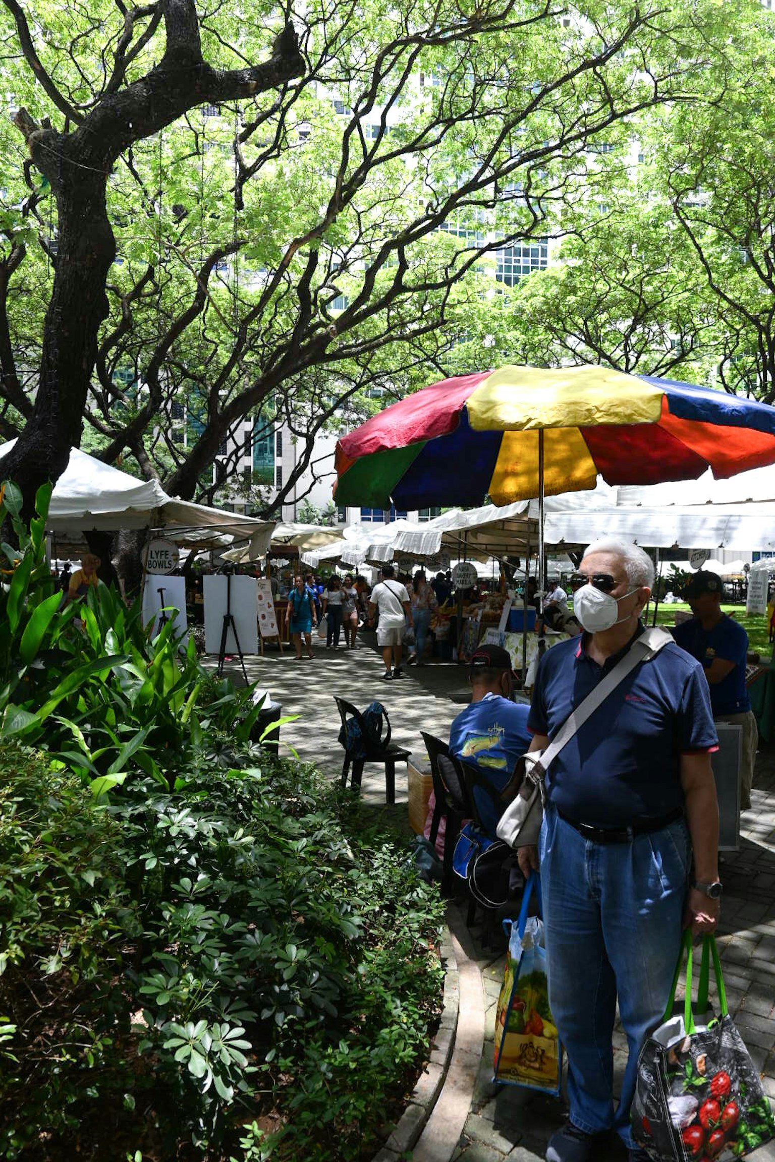 手持彩色雨傘的男性在綠樹環繞的市場中