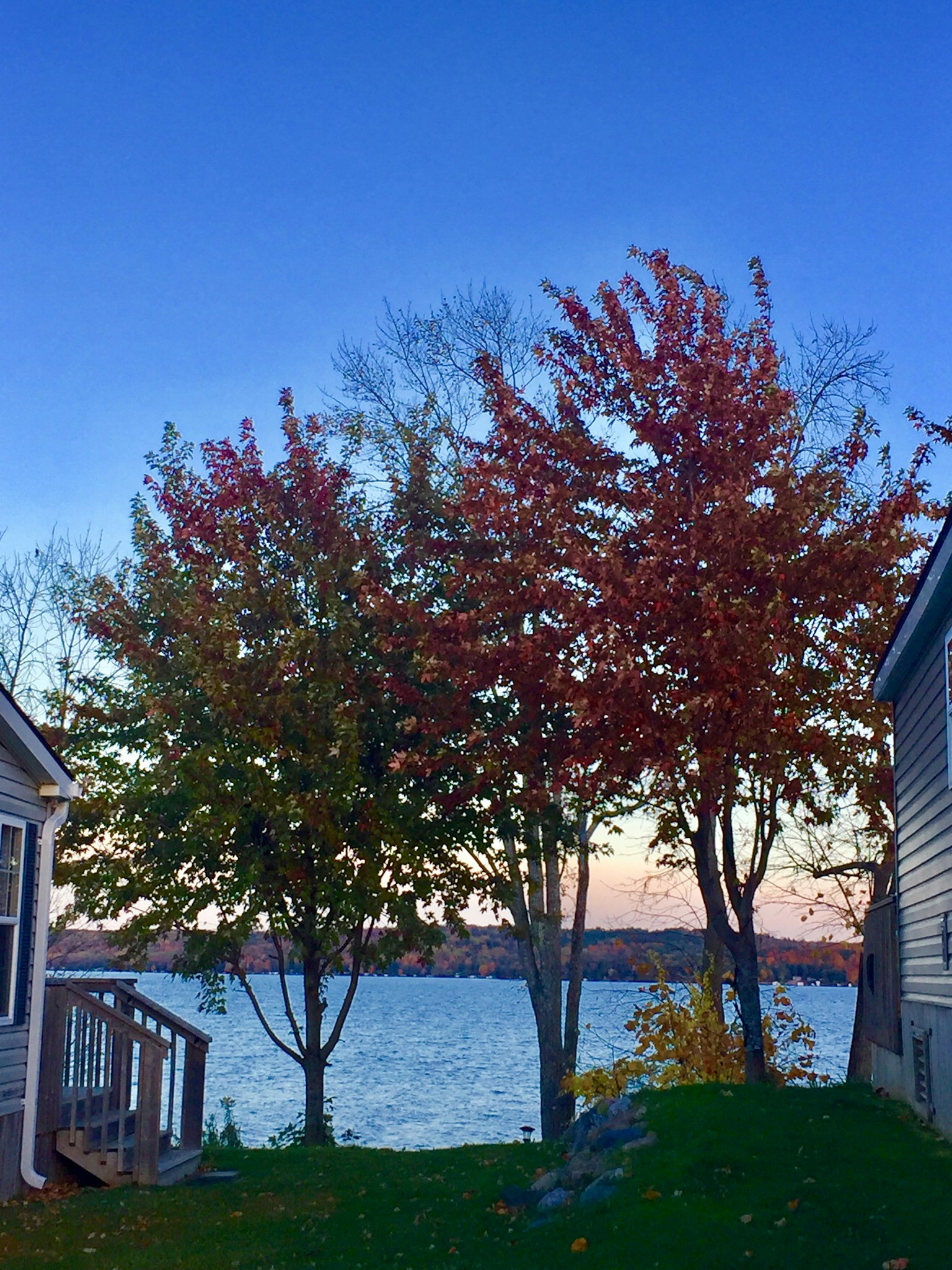 Vista panoramica di alberi autunnali colorati vicino al lago con cielo blu