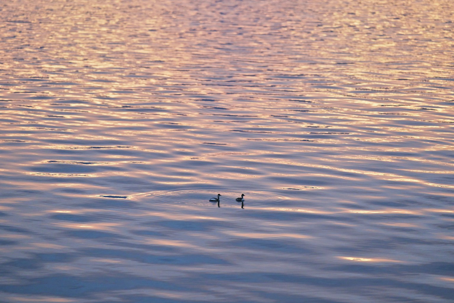 暗い背景にシンプルなグラフィックデザインの画像
