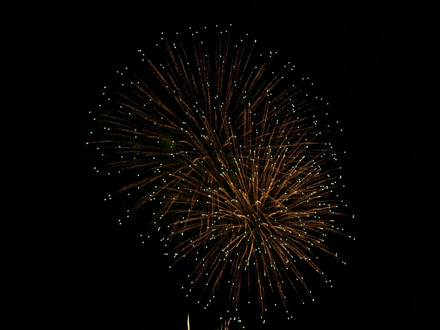 Fuochi d'artificio dorati che esplodono nel cielo notturno