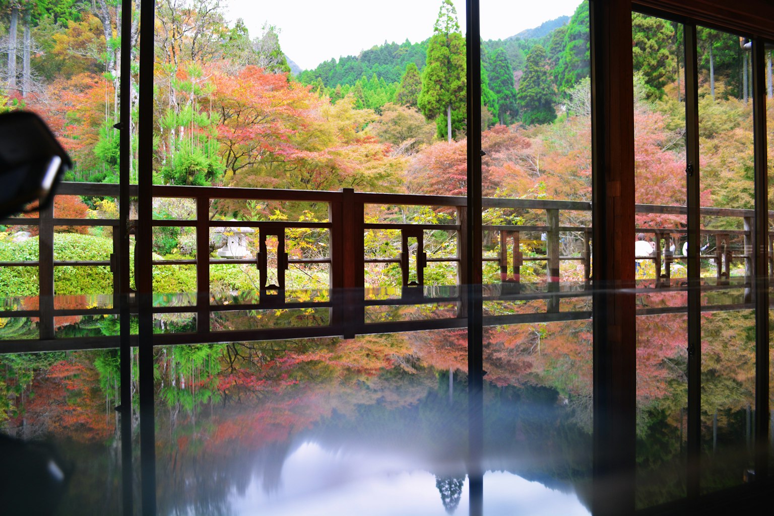 宁静表面上反射的生动秋叶风景