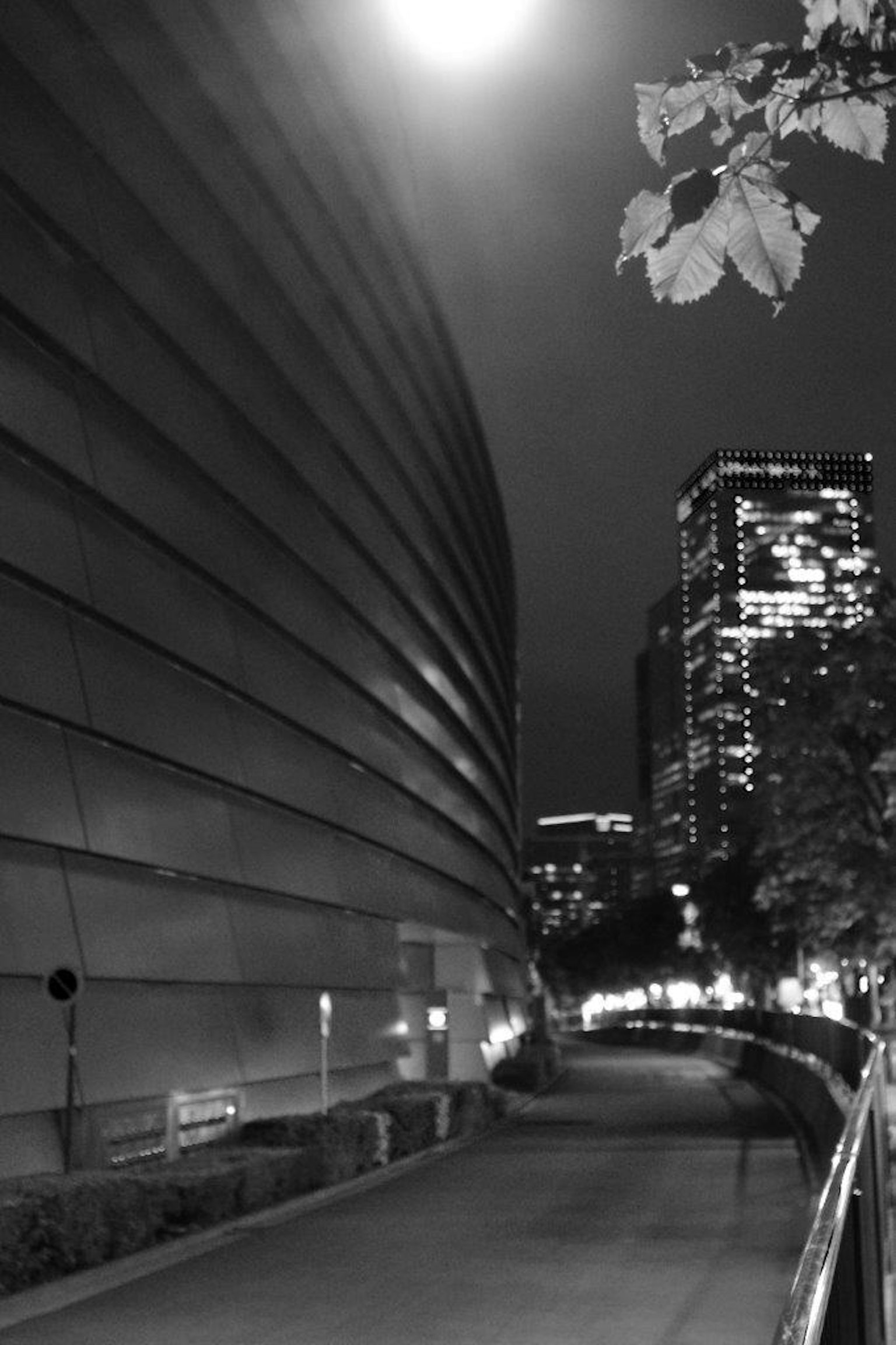 夜间城市风景中曲线建筑与摩天大楼的对比