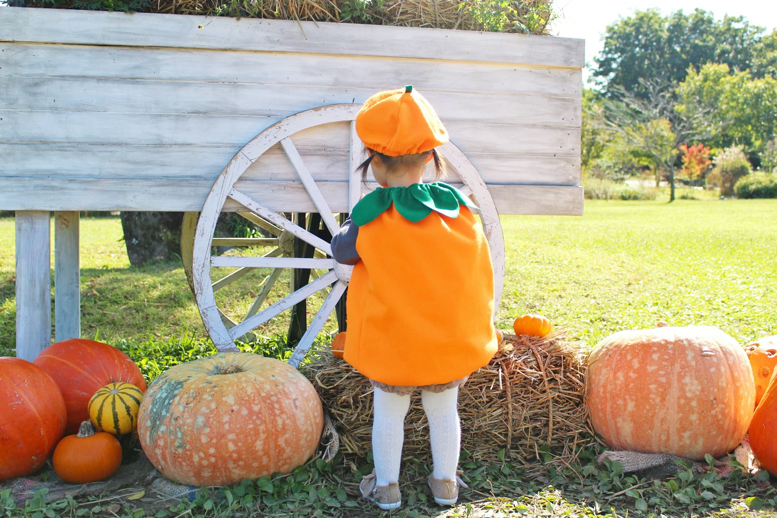 Un bambino vestito con un costume di zucca davanti a una ruota di legno