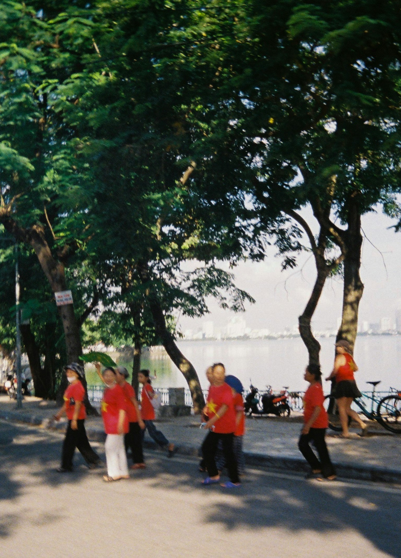 緑の木々の下を歩く赤いシャツを着た子供たちのグループ 湖の近くの風景