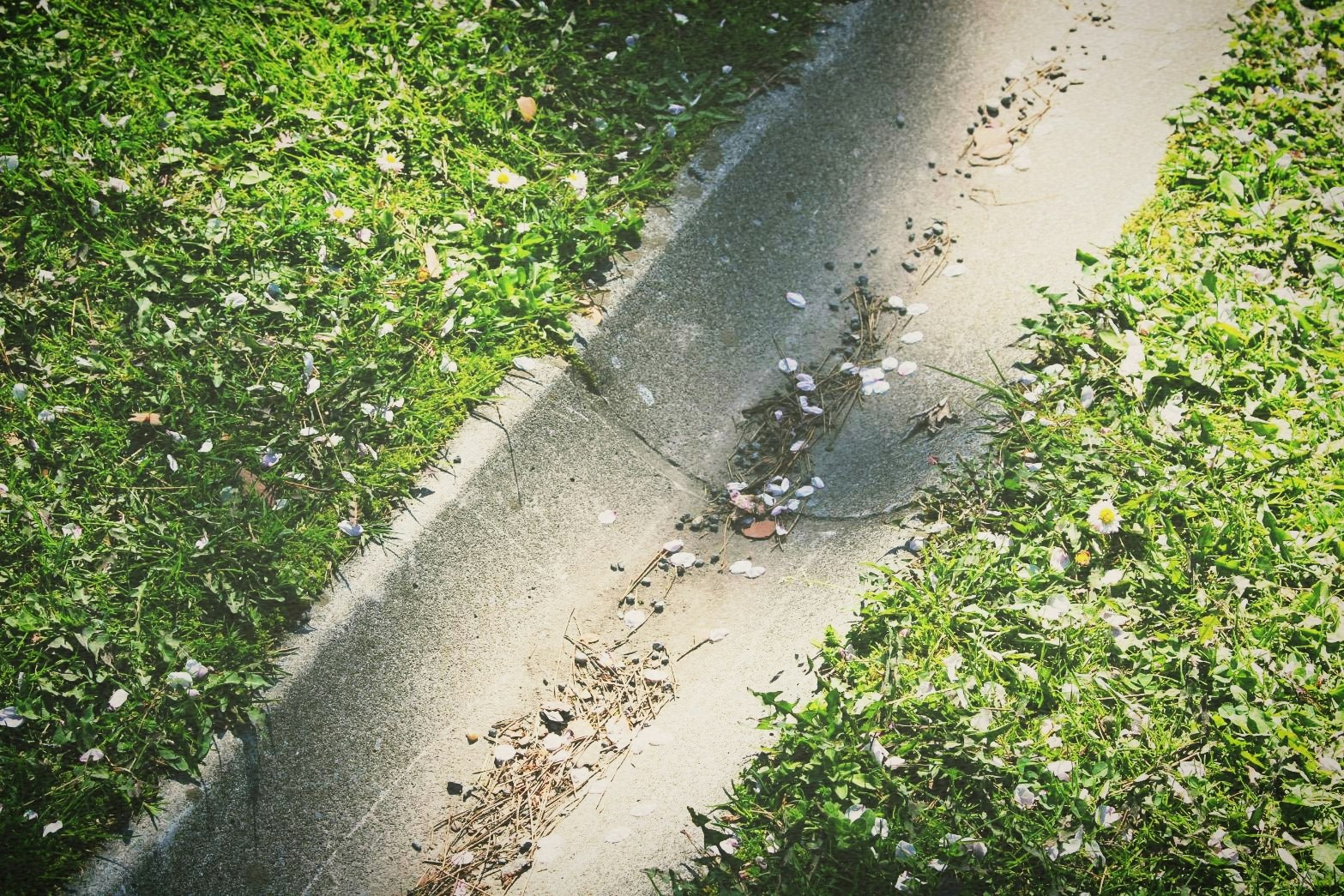 verlorene Gegenstände, die auf einem schmalen Pfad zwischen Grassträuchern verstreut liegen