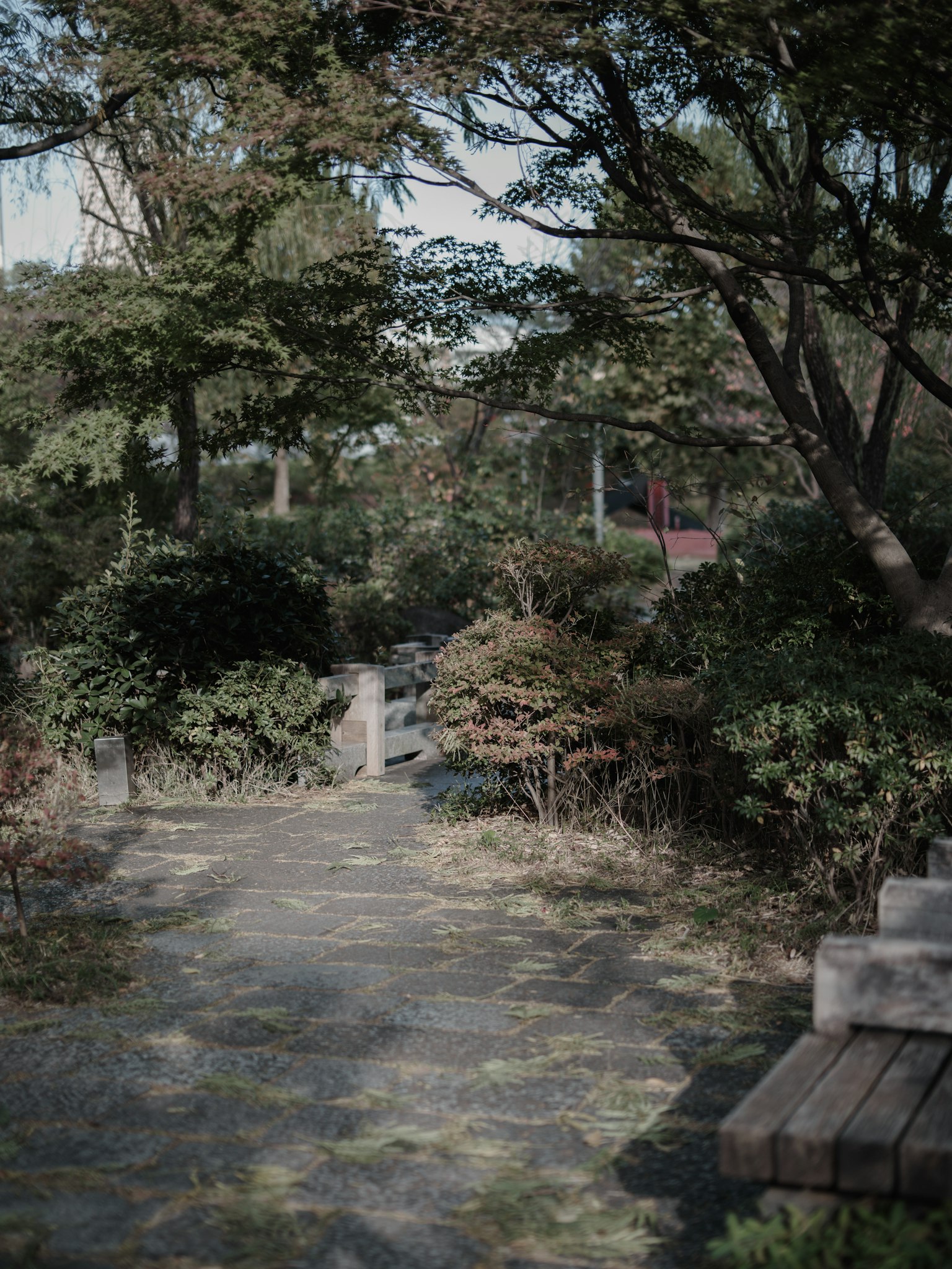 Sendero escénico rodeado de vegetación exuberante y árboles en un jardín