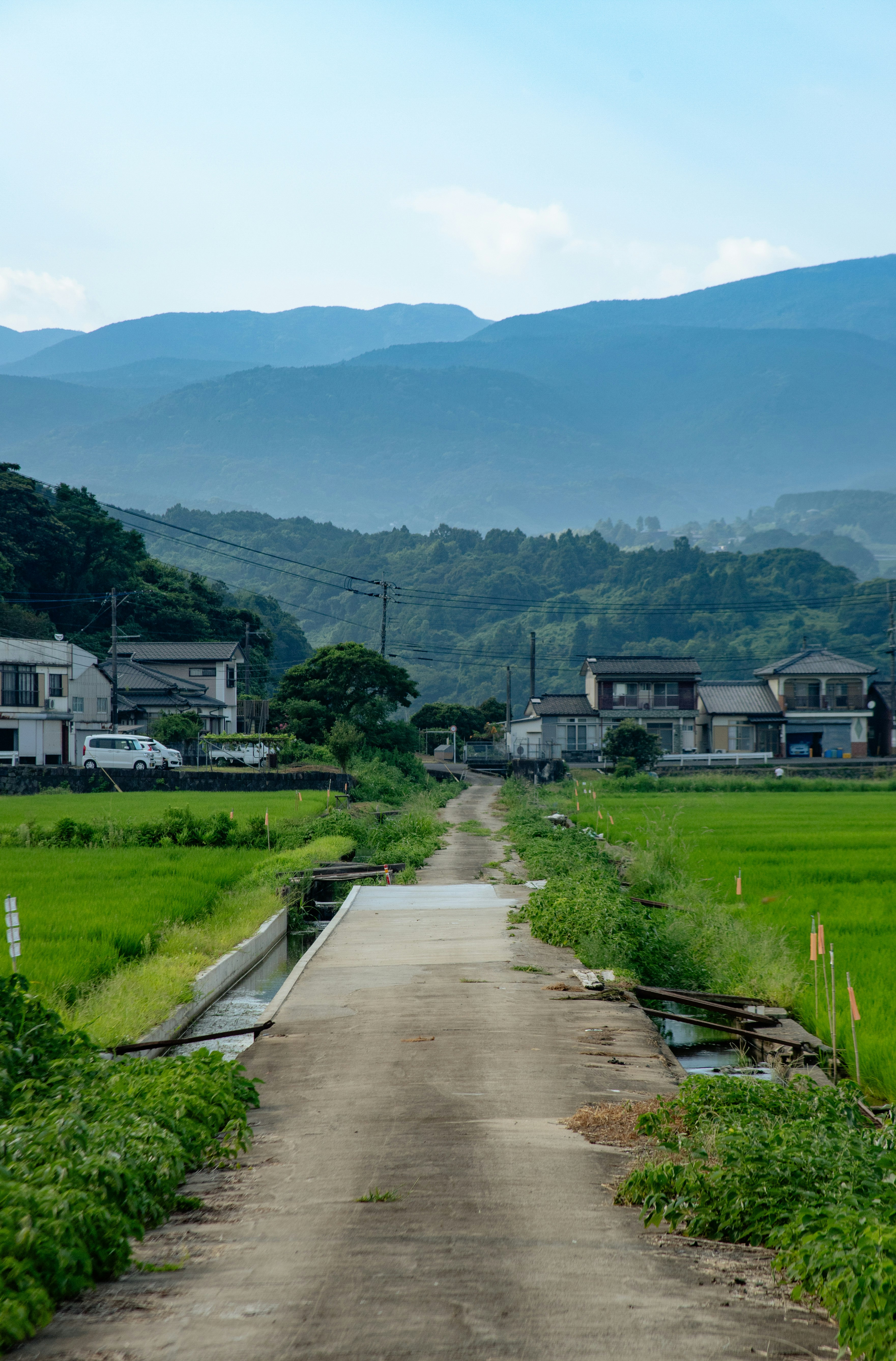 田んぼの小道と山並みが見える田園風景
