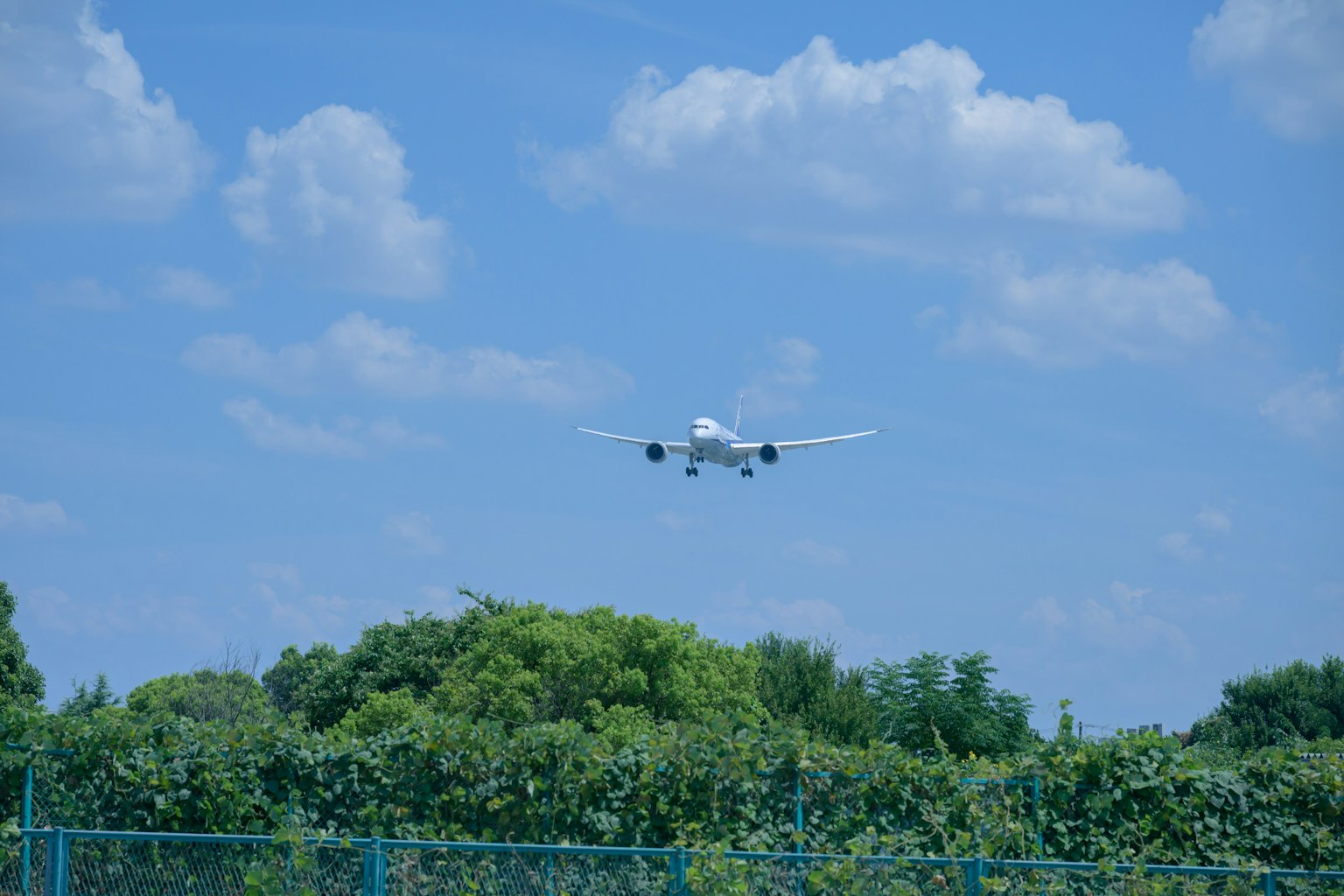 Un aereo bianco in atterraggio contro un cielo blu con nuvole e alberi verdi