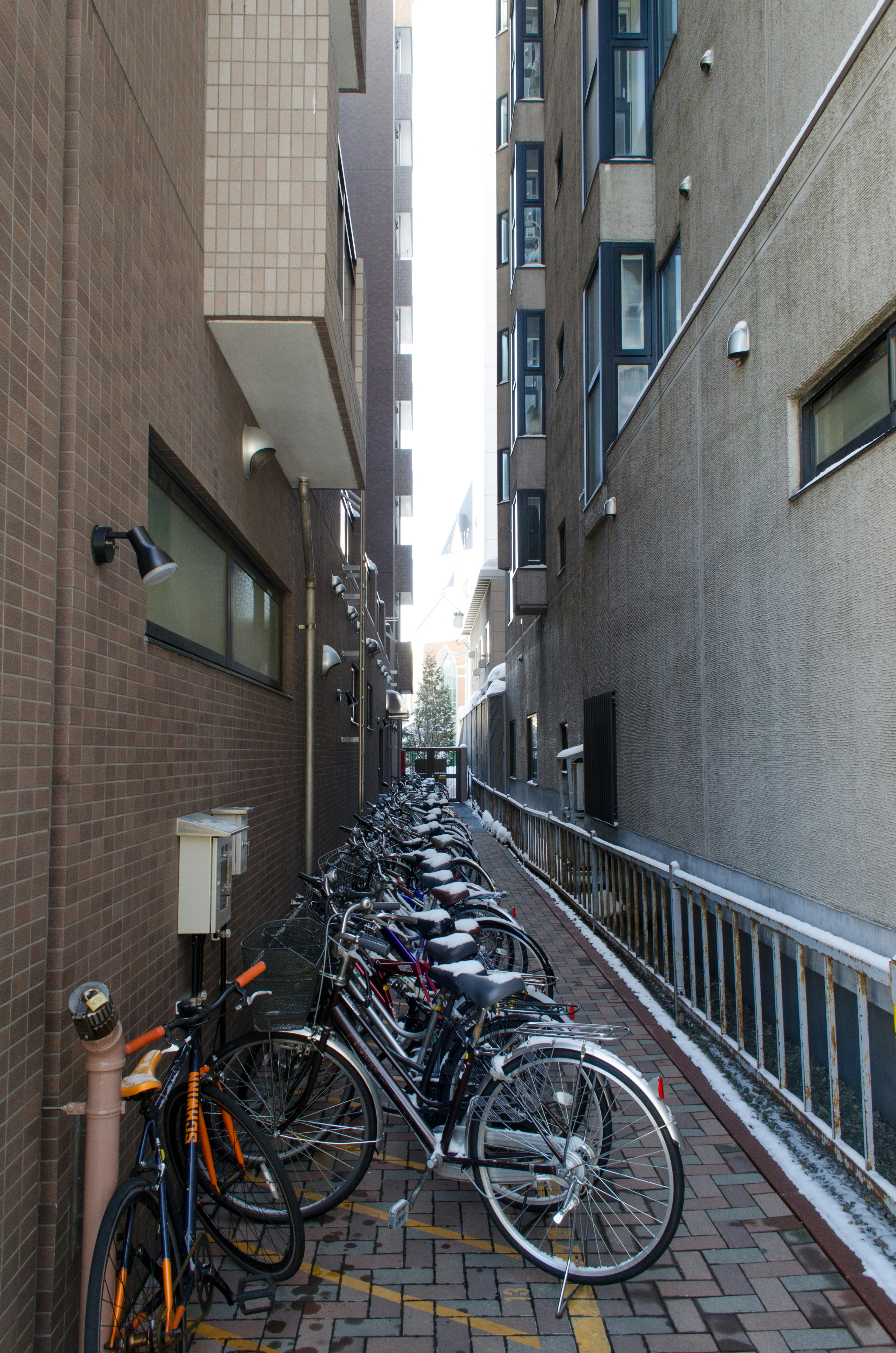 路地の壁沿いに並ぶ自転車