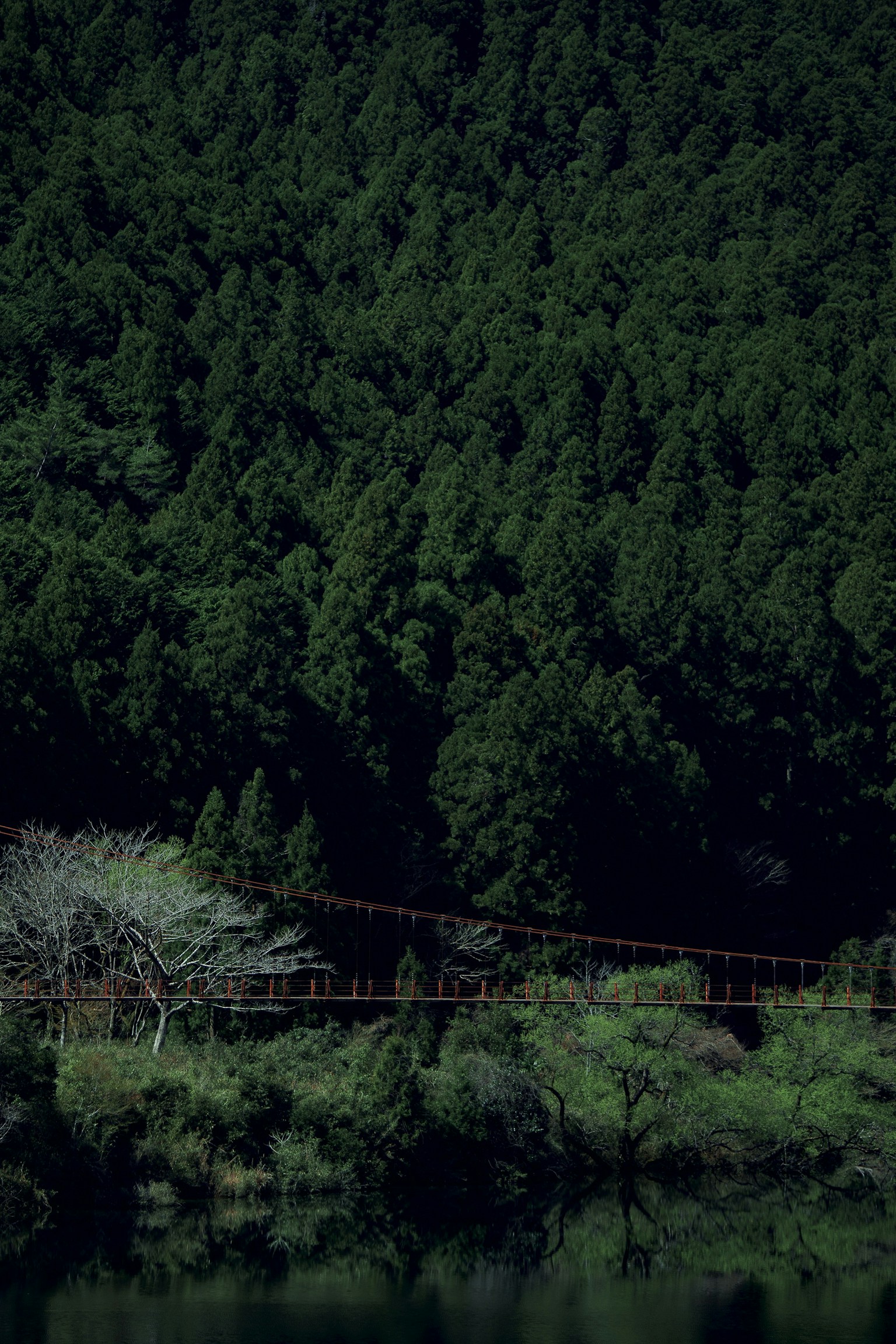 photo-x750O8n0NsdqwK3pEx7Y-image