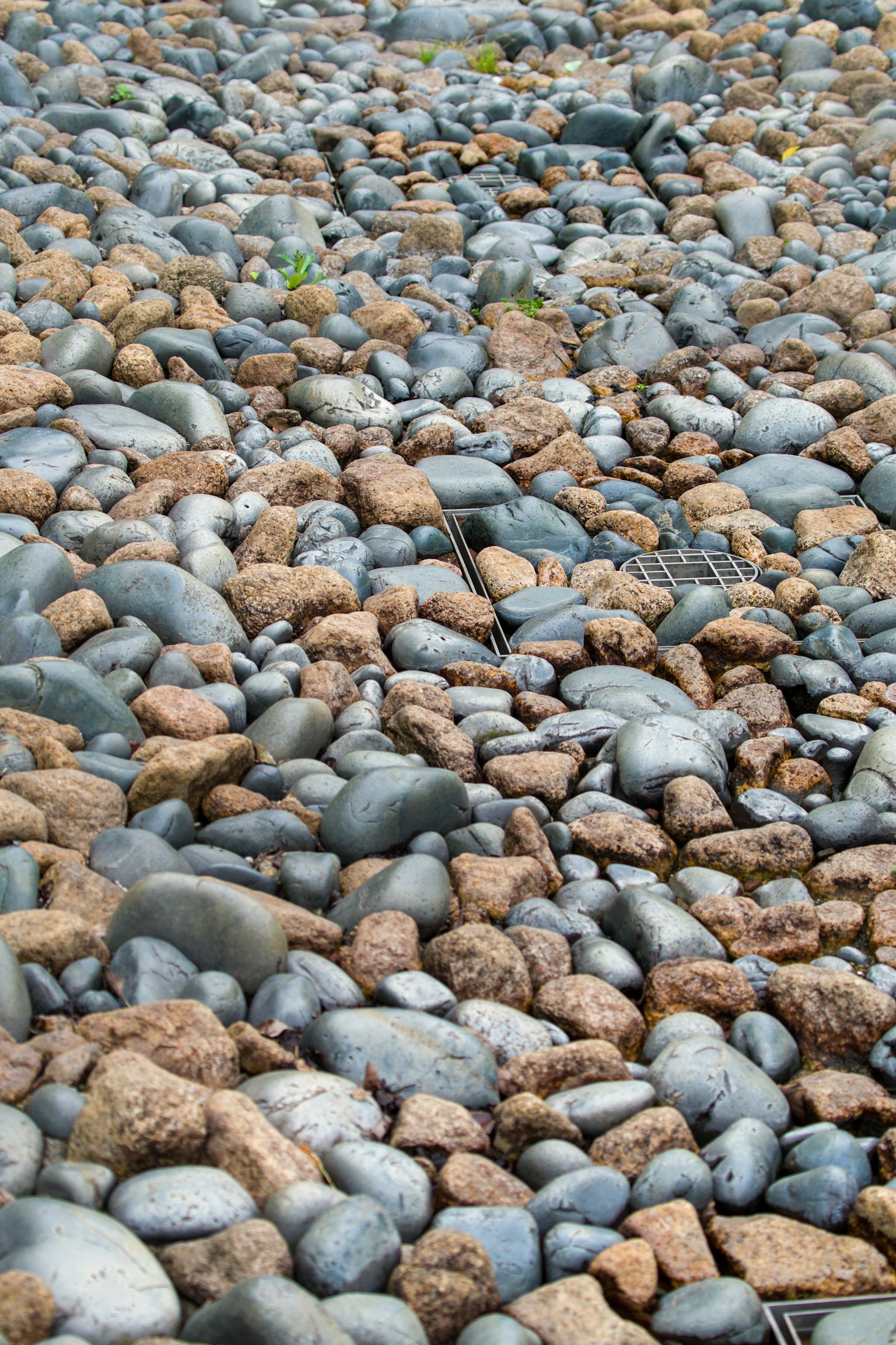 Un paisaje de piedras de varios colores esparcidas por el suelo