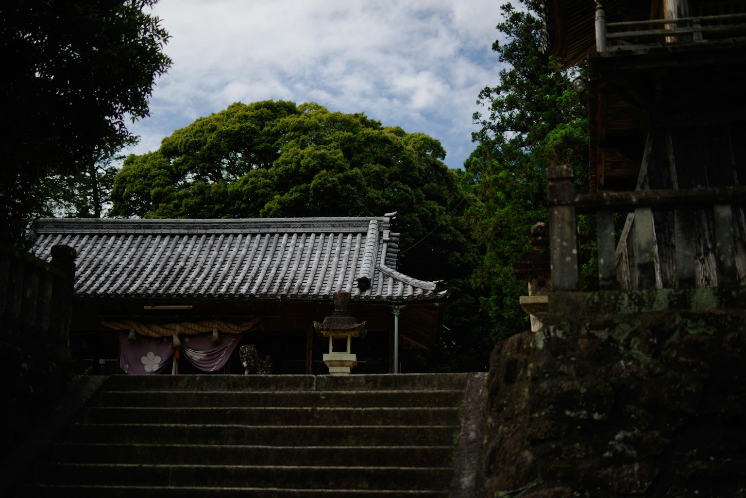 photo-x8K0AFx3szQNuwP8bZr1-image