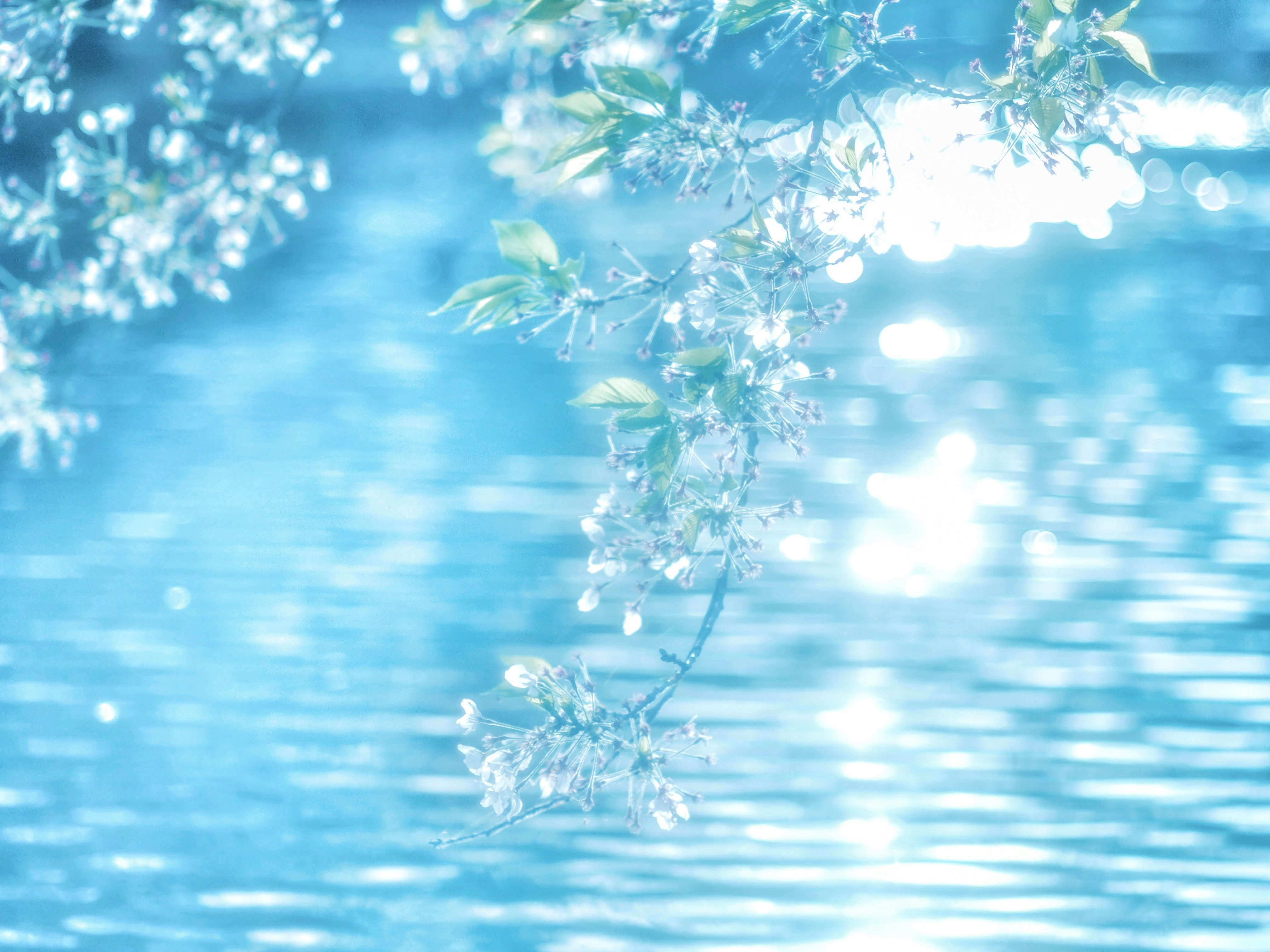 水面に反射する光と水しぶきのある水滴のクローズアップ