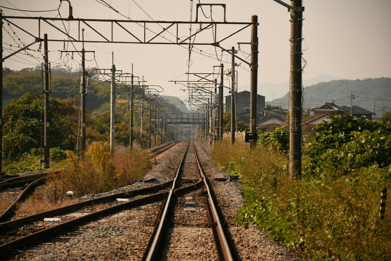 Lignes de chemin de fer s'étendant au loin entourées de verdure