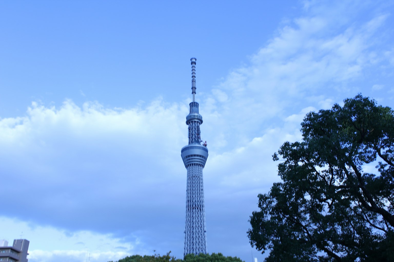 Tokyo Skytree towering under a blue sky