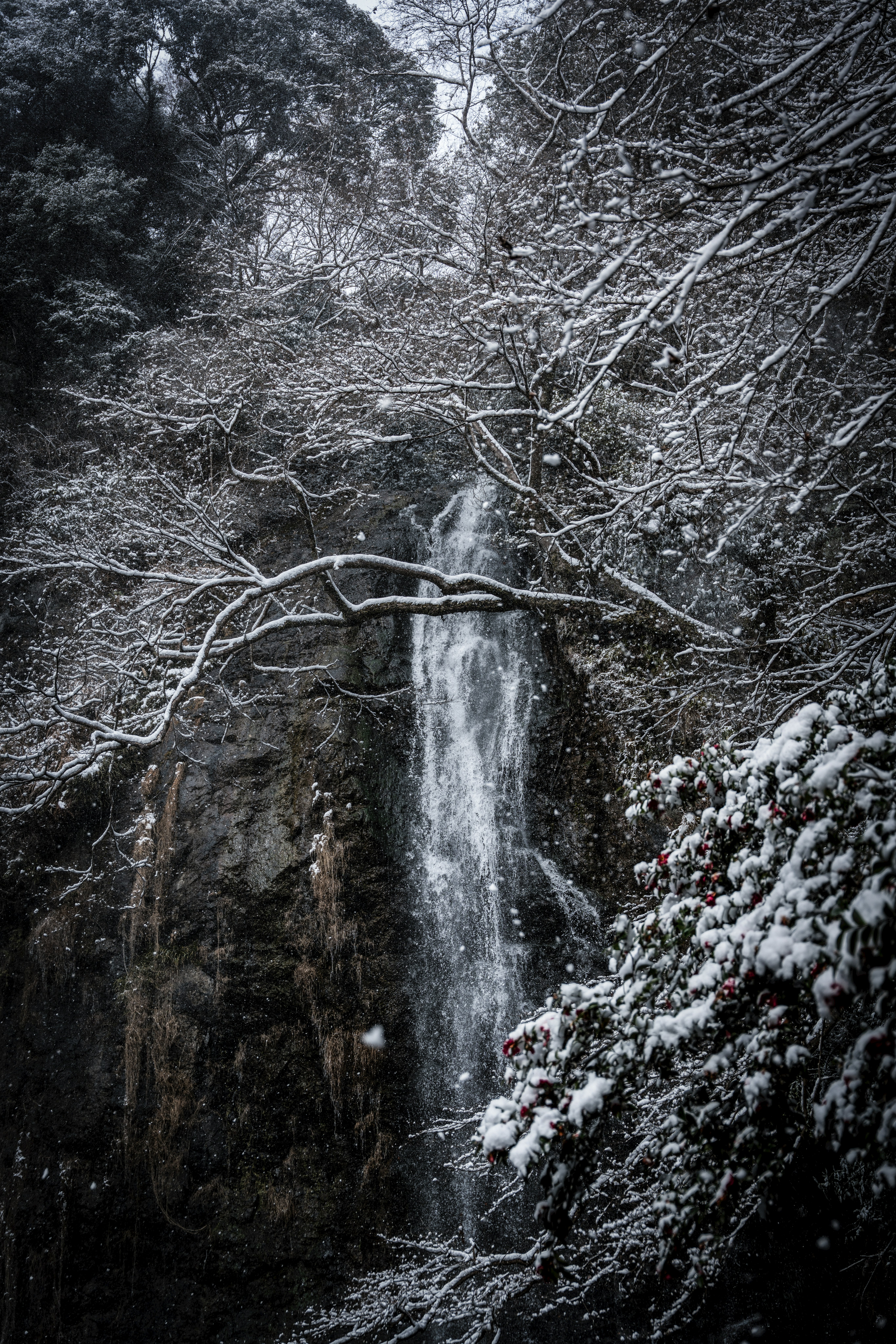 雪の中の箕面大滝の滝と雪景色