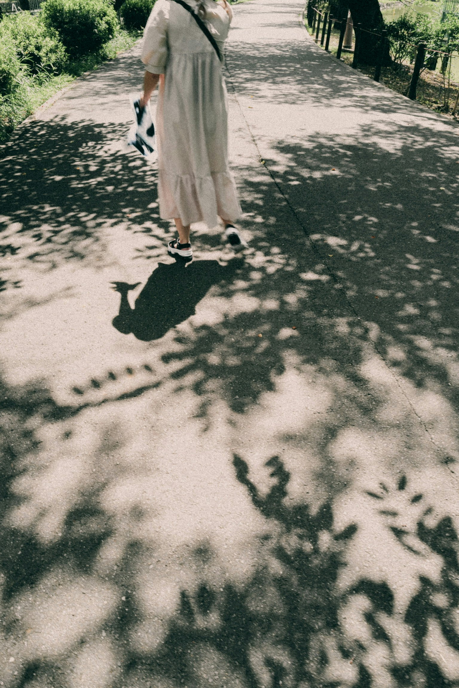 影が落ちる舗装された道を歩く女性の後ろ姿